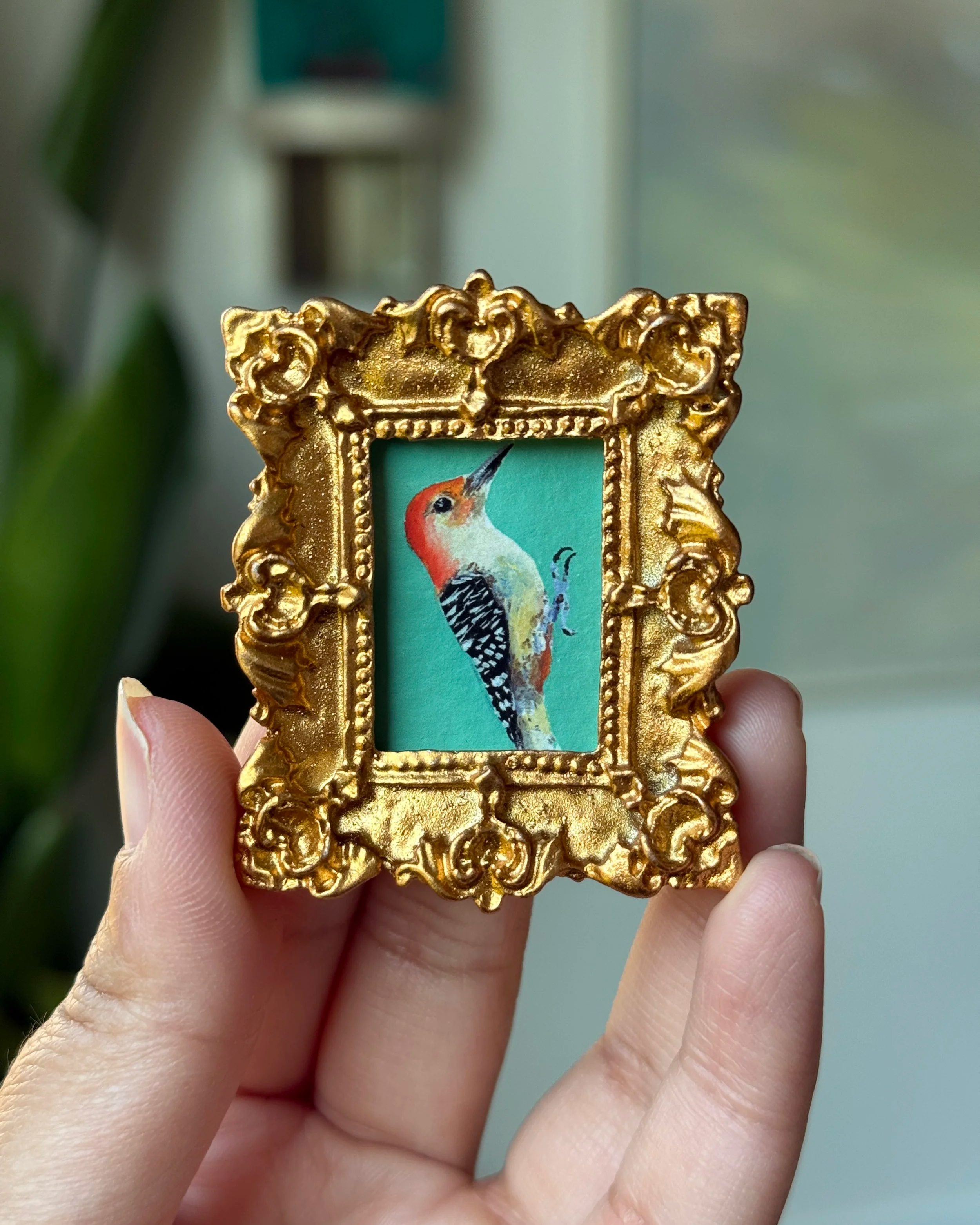 Red-bellied Woodpecker Framed PRINT
