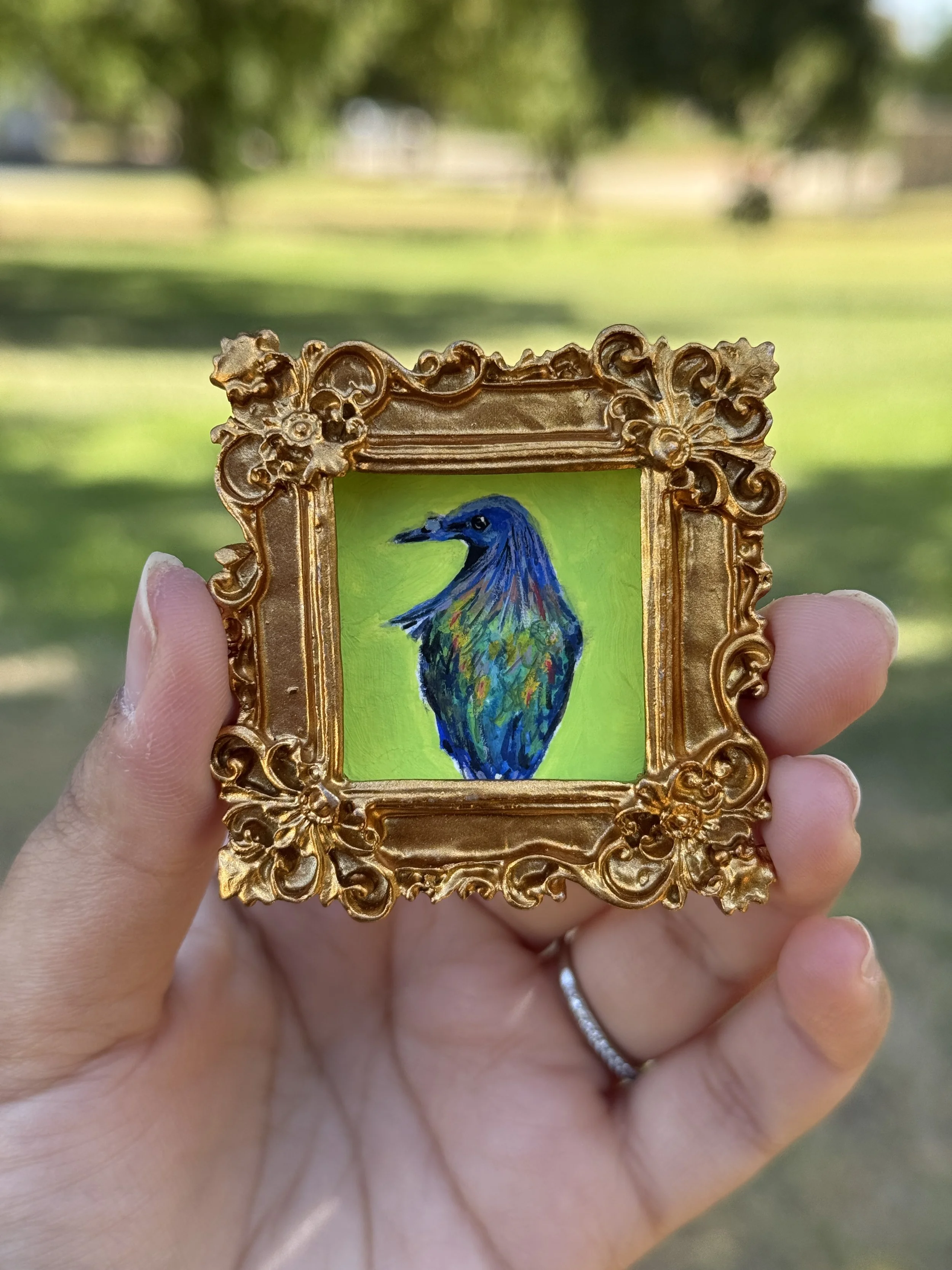 Nicobar Pigeon Original Painting