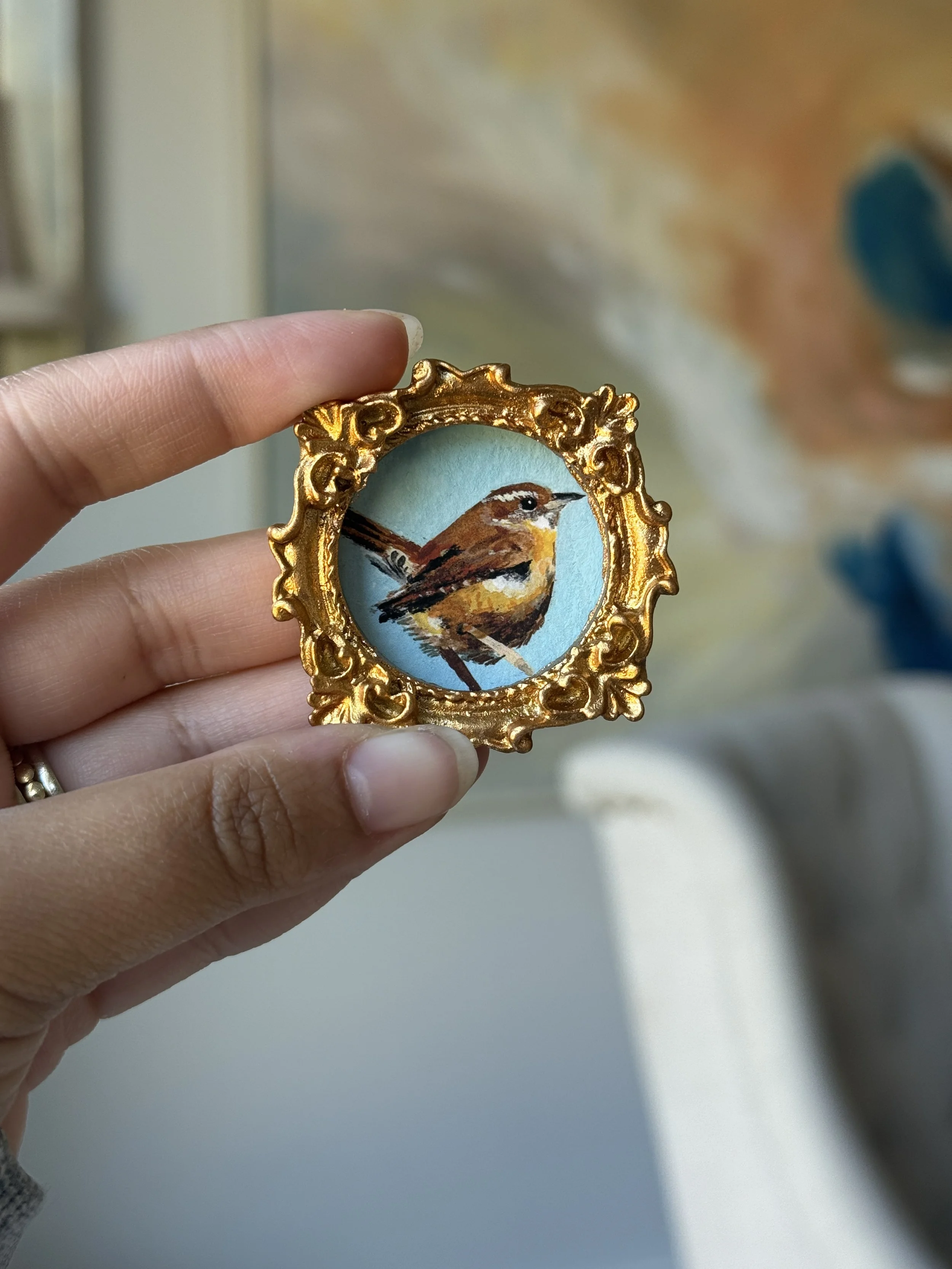 Carolina Wren Framed Print