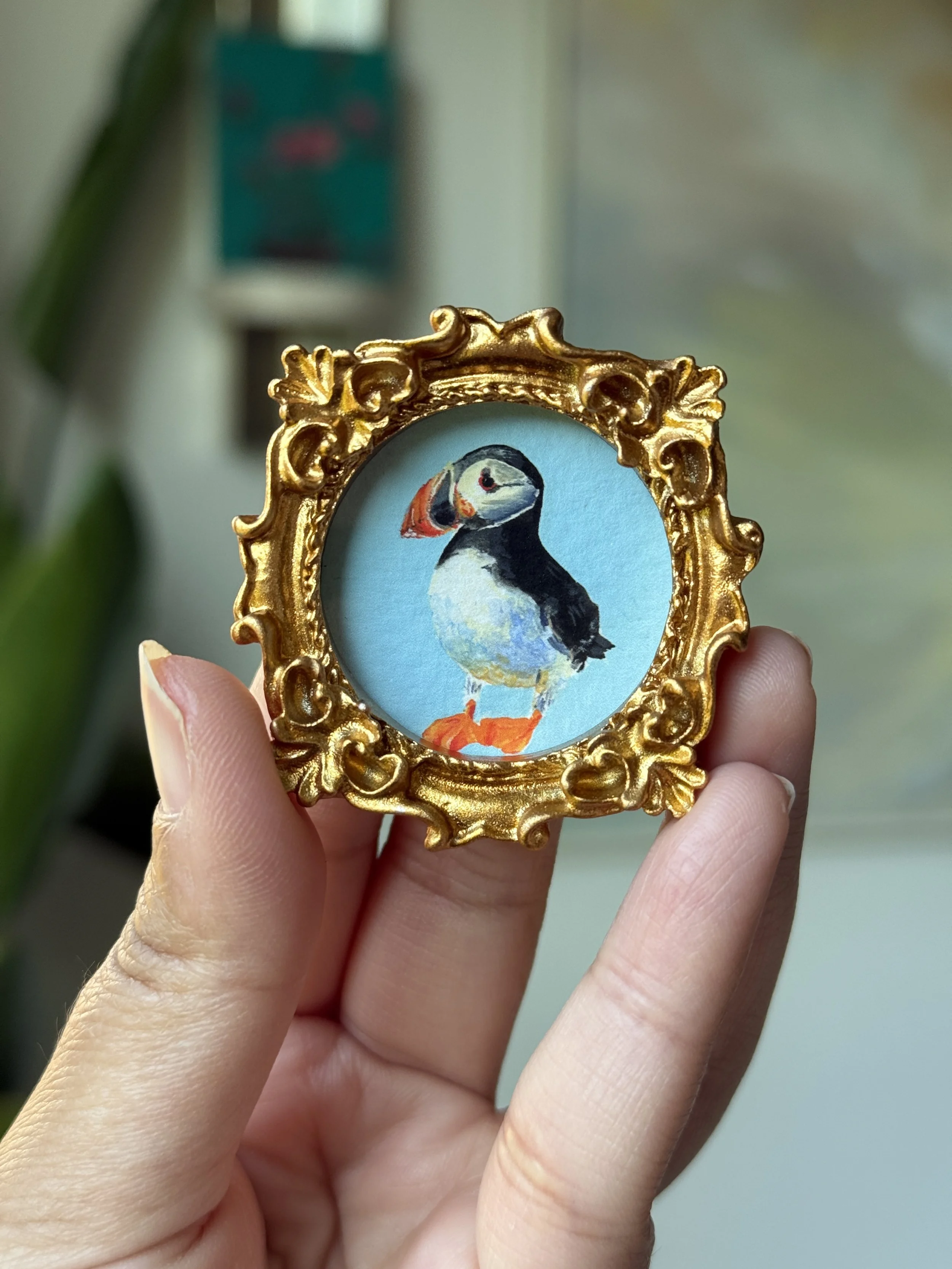 Puffin Framed PRINT