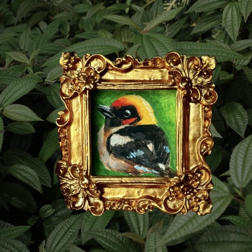 Flame Faced Tanager Original Painting