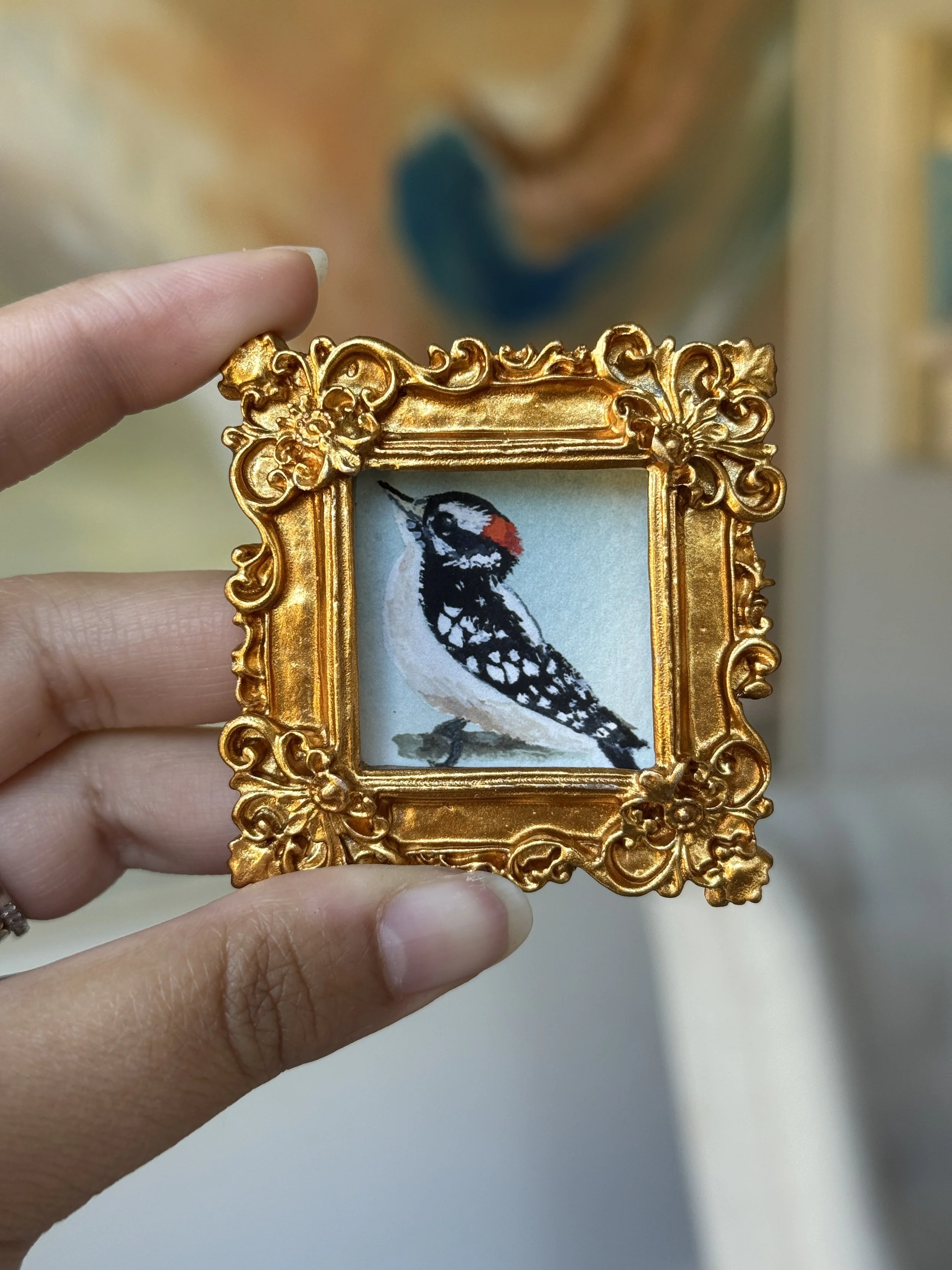 Downy Woodpecker Framed Print