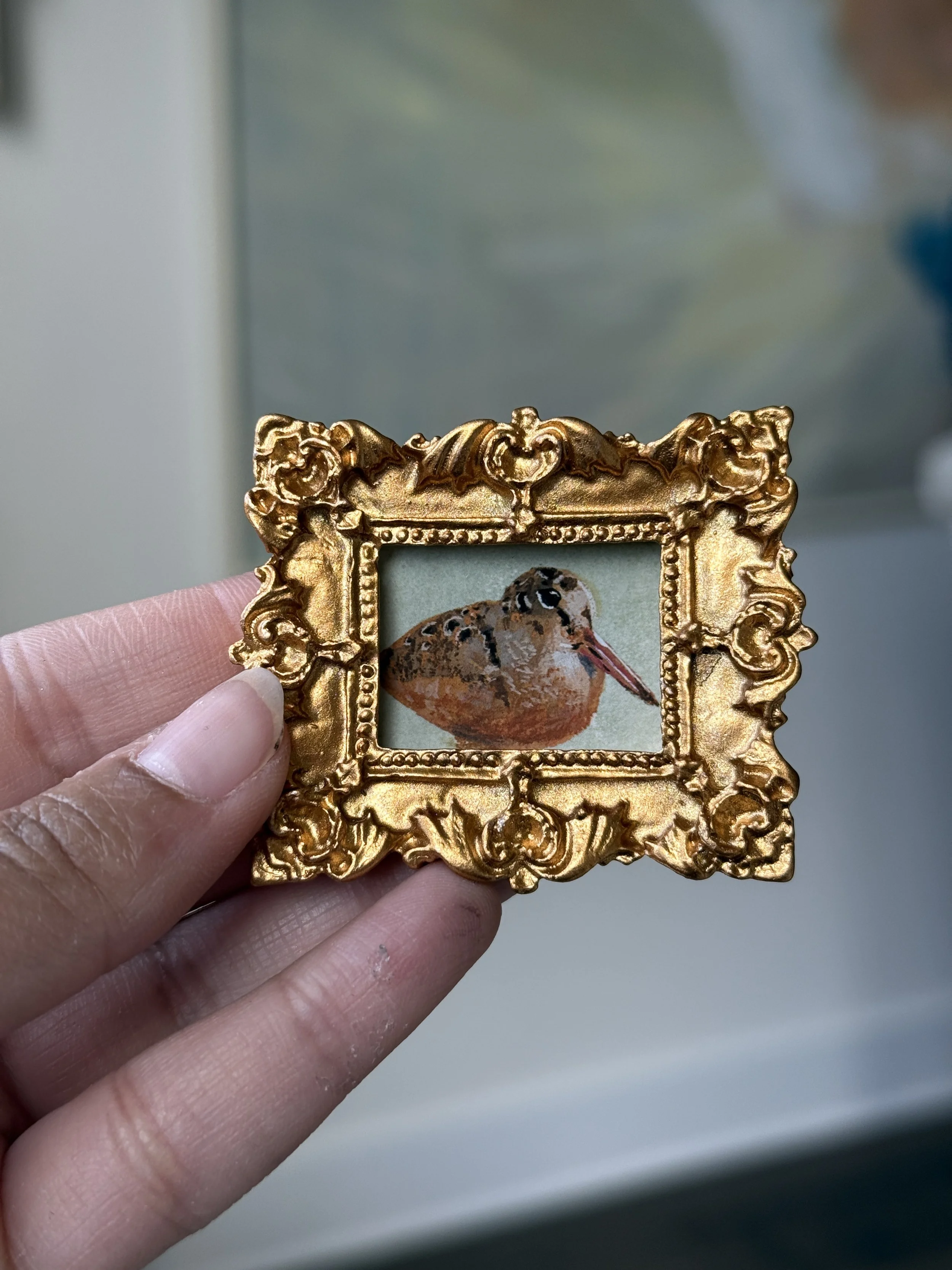 American Woodcock Framed Print