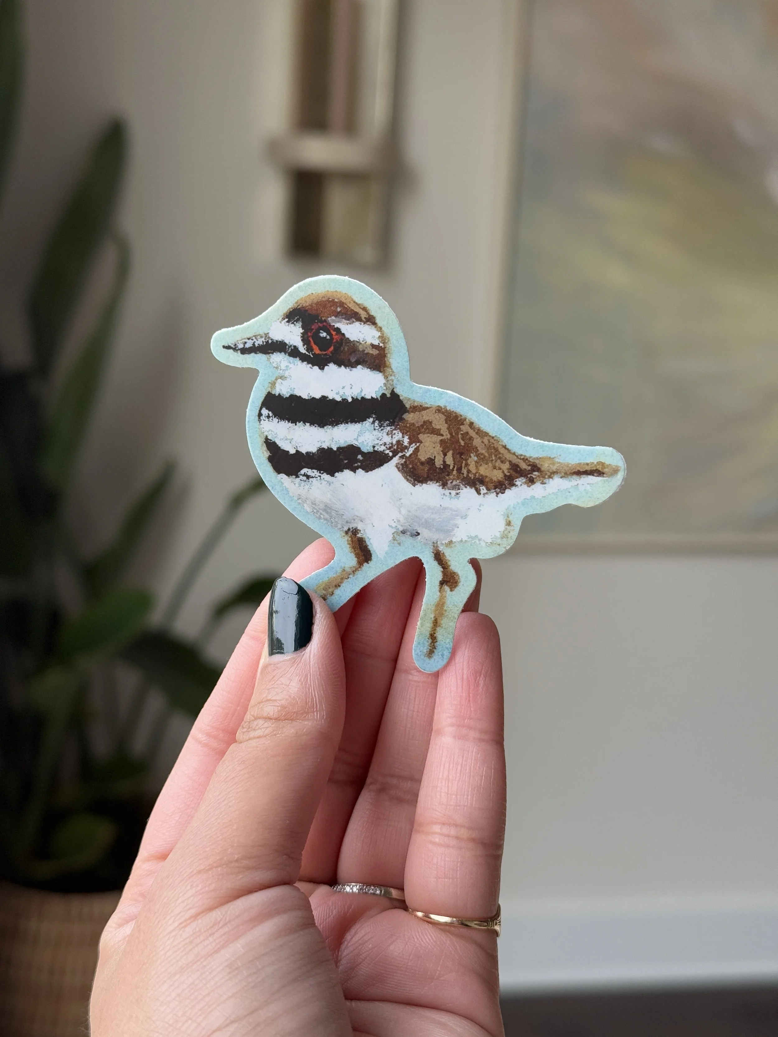 Tiny Killdeer Sticker