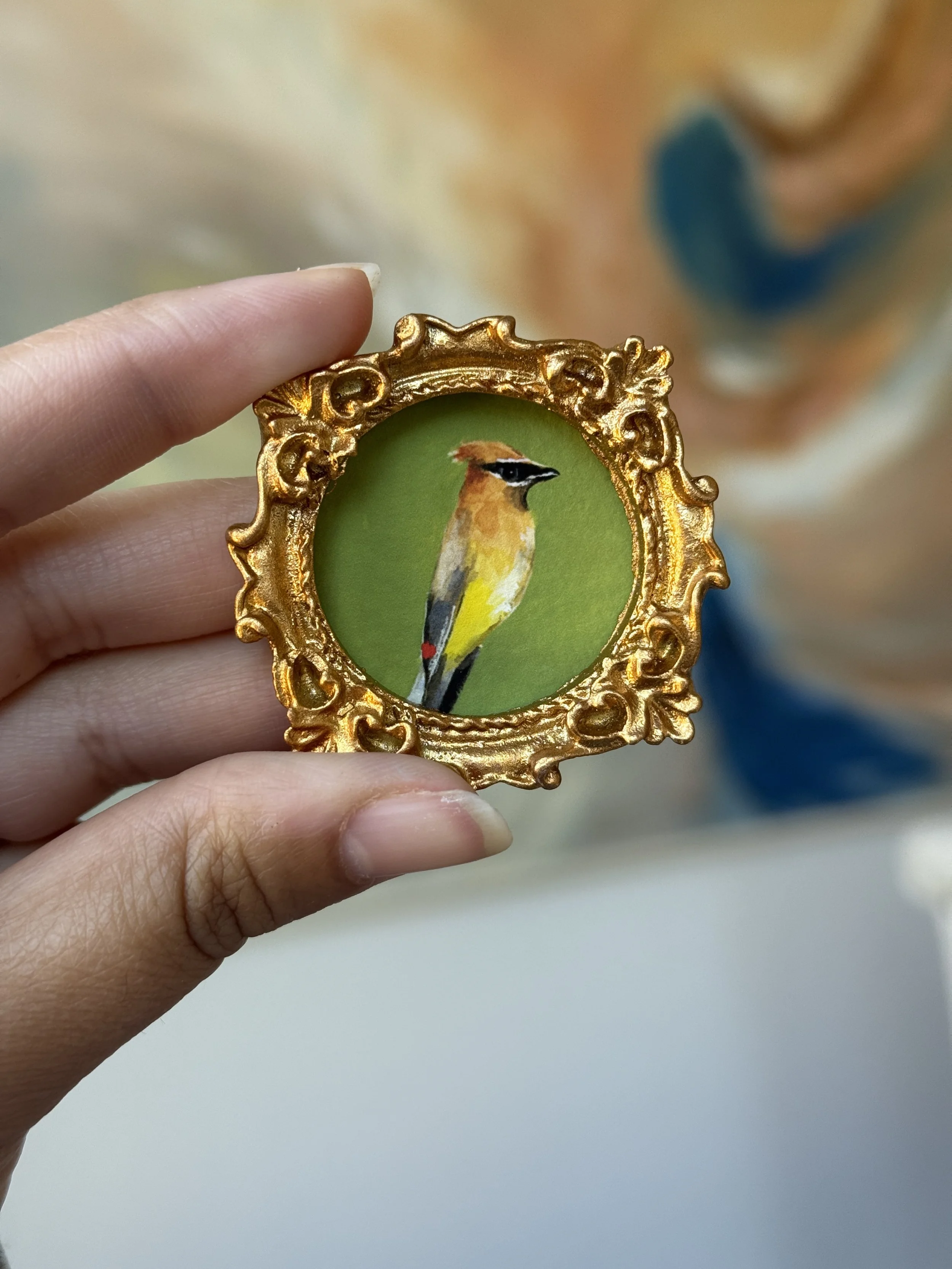 Cedar Waxwing Framed Print