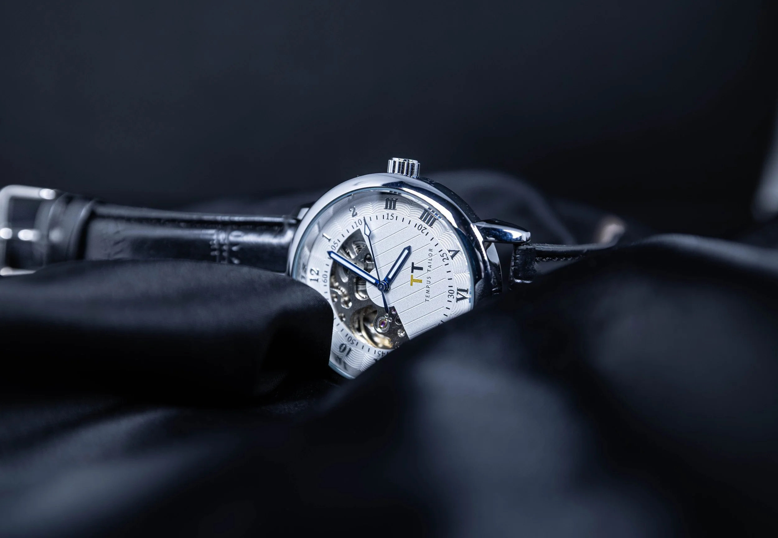 TT - watch close up.jpg