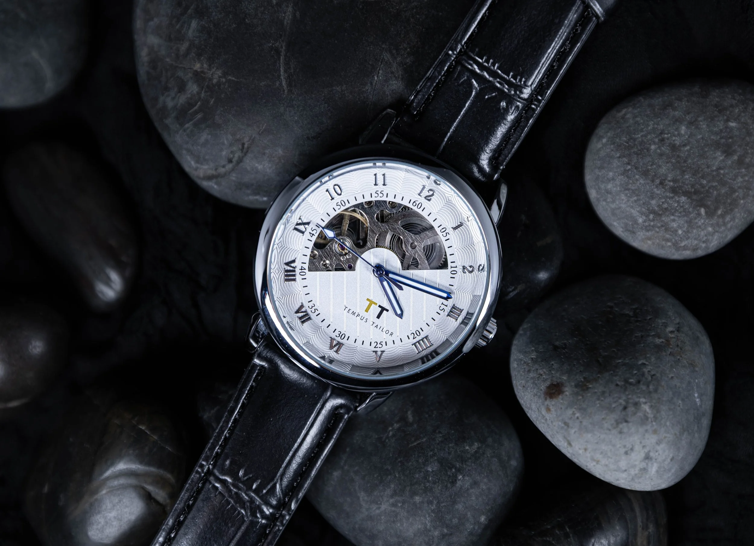 Tempus tailor - rocks.jpg