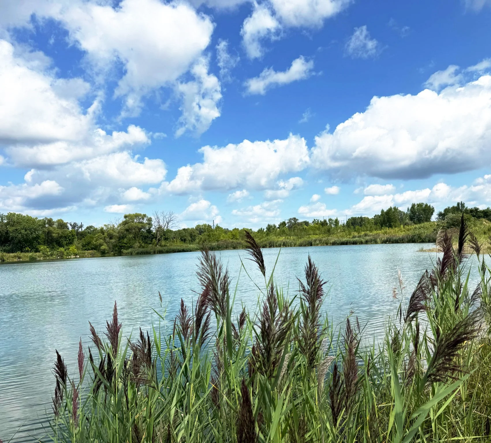 Starkweather Creek