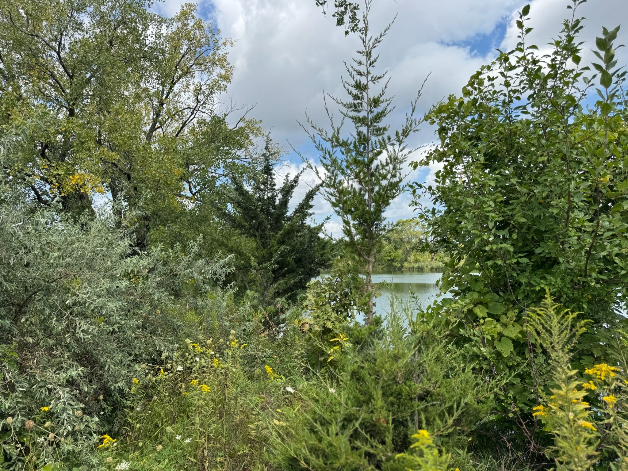 IMG_2136.jpeg