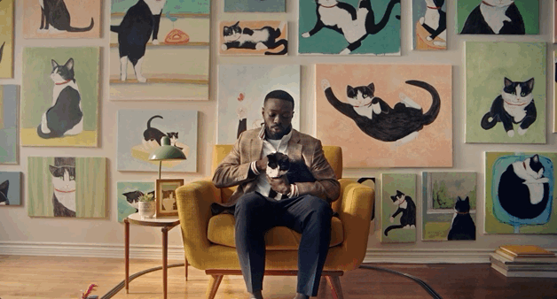 PETSMART ANTHEM