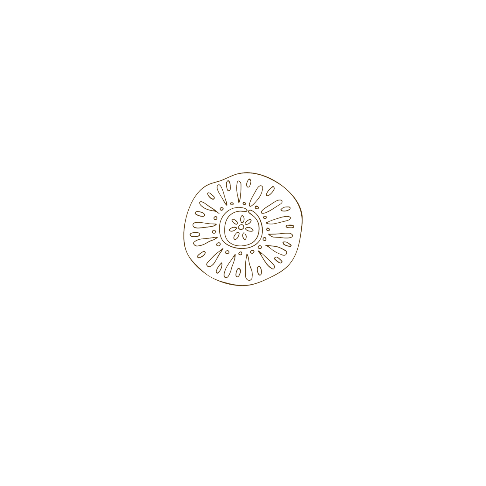 Line drawing of a kiwi fruit with seeds and inner details on a black background.