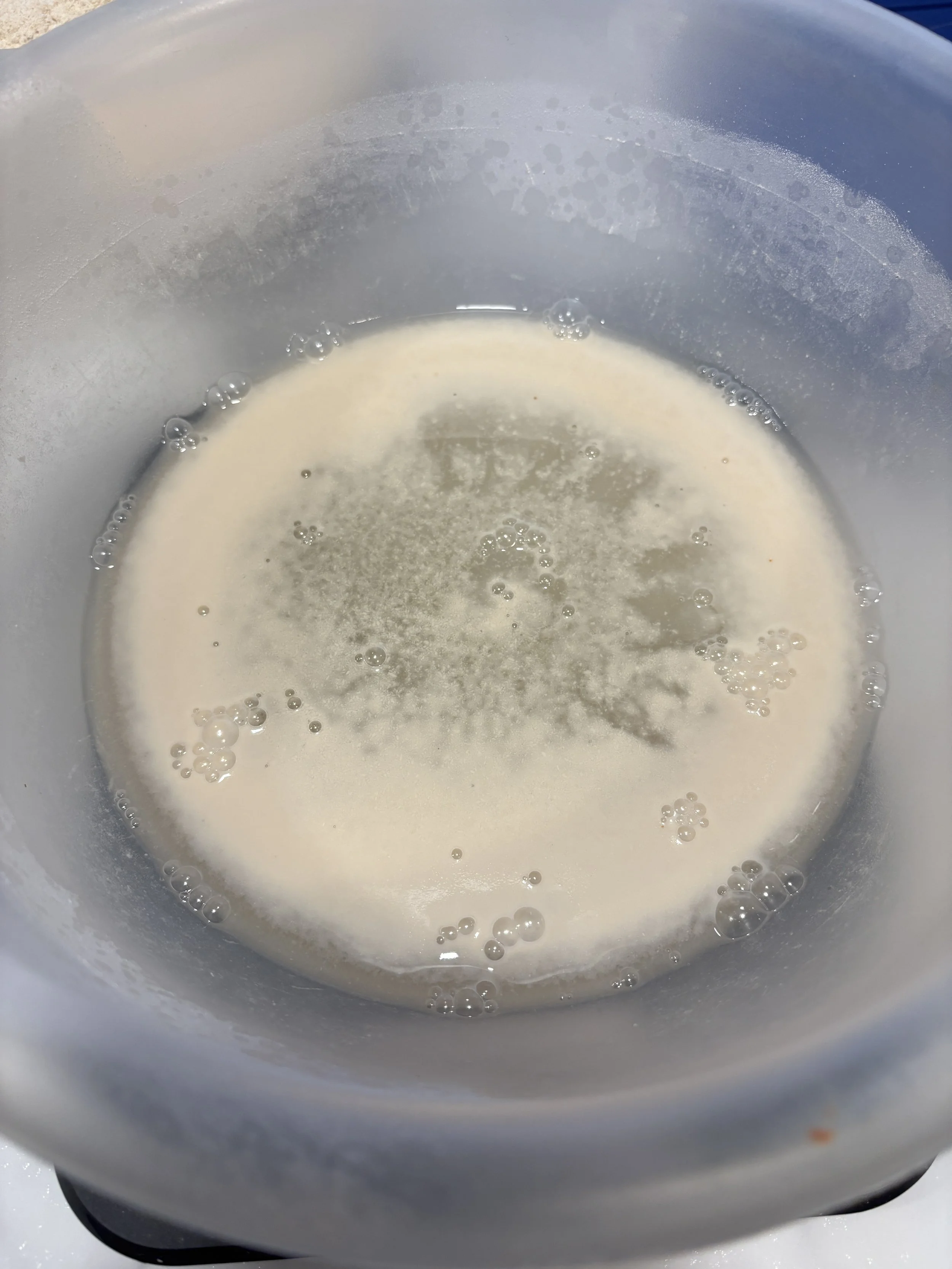 Is your yeast actually alive?