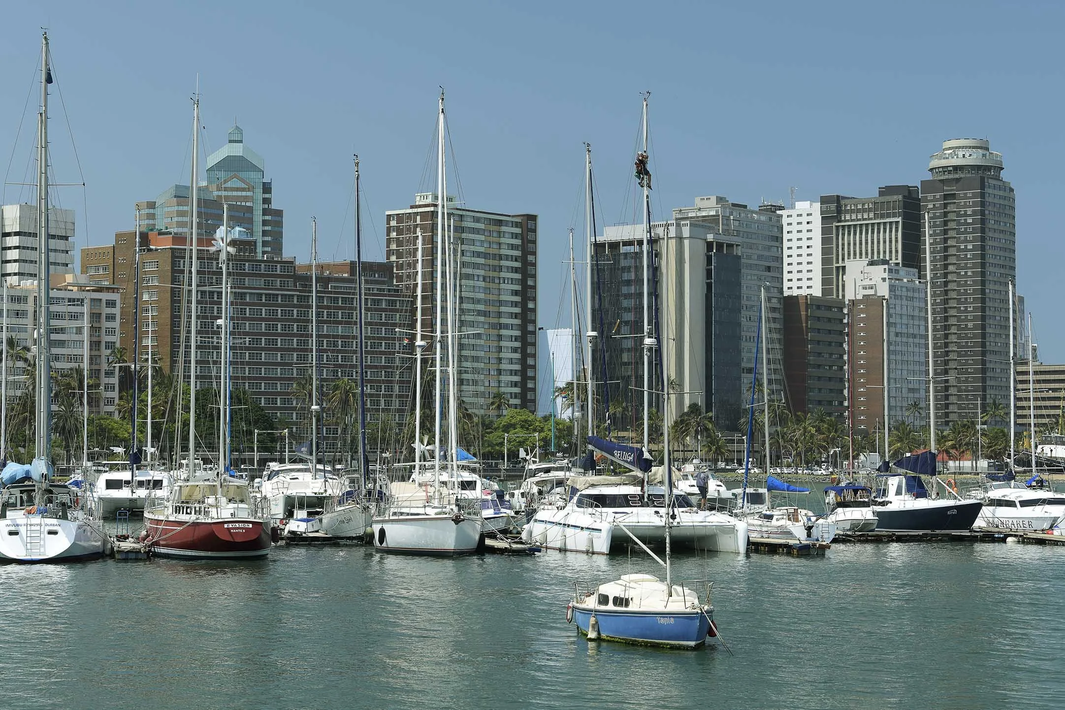 Yachts at mooring, marina close to downtown buildings, water sport activity