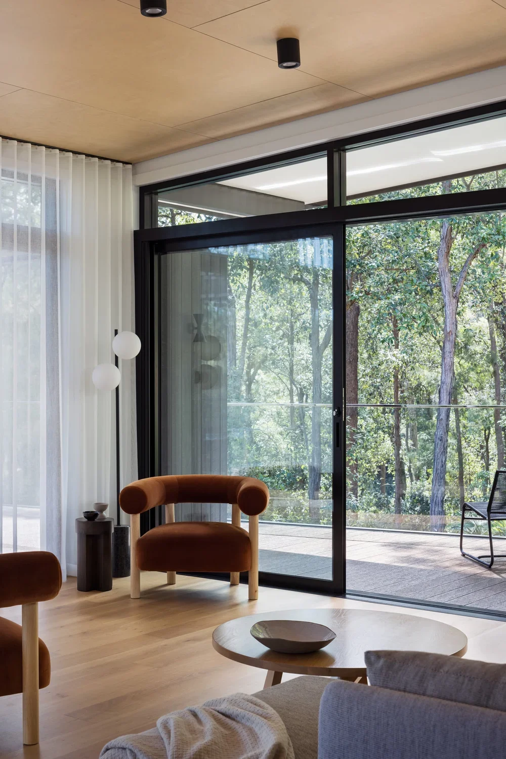 Contemporary home framed by established native vegetation.webp