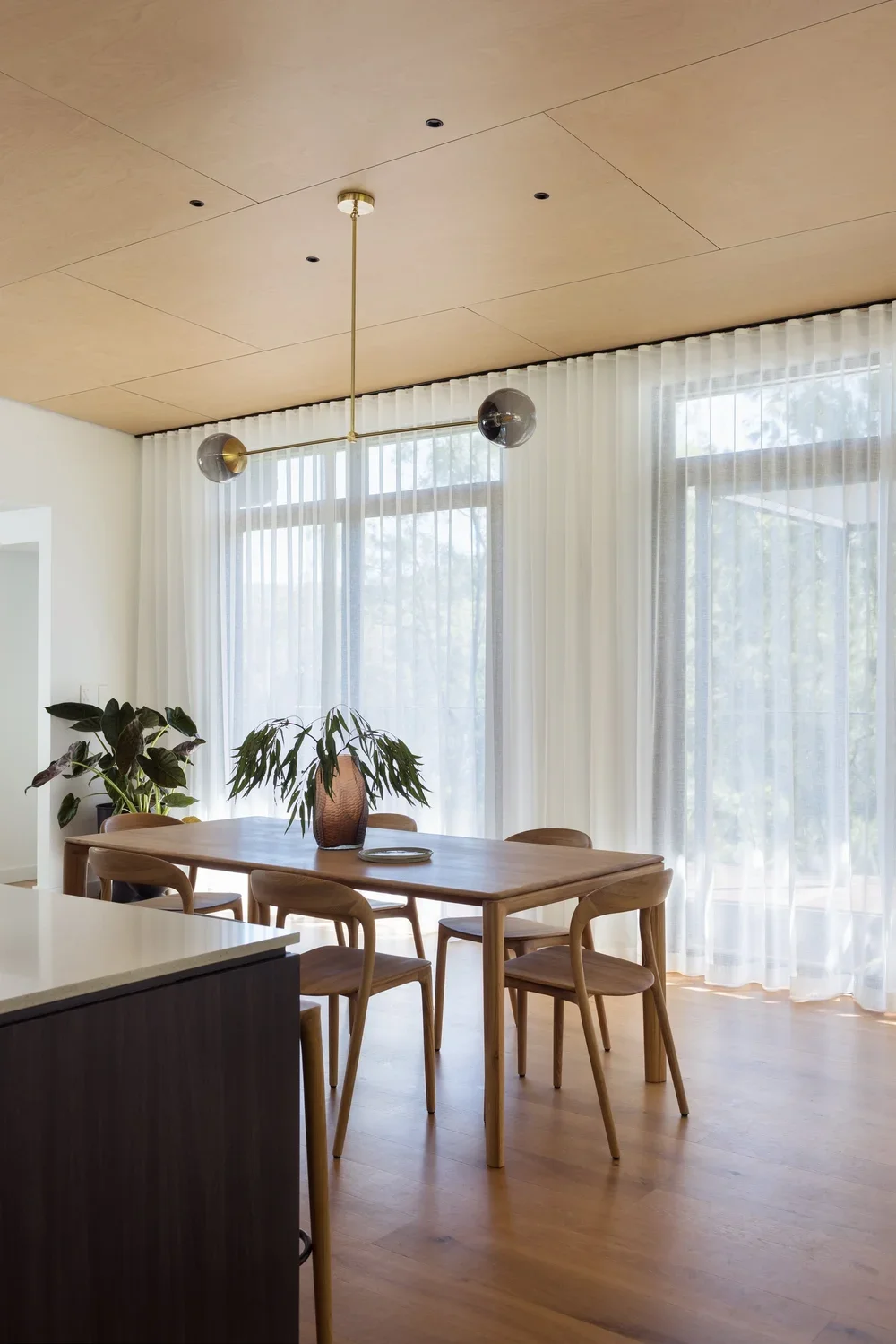 Elevated residence embracing natural light and surrounding bushland views.webp