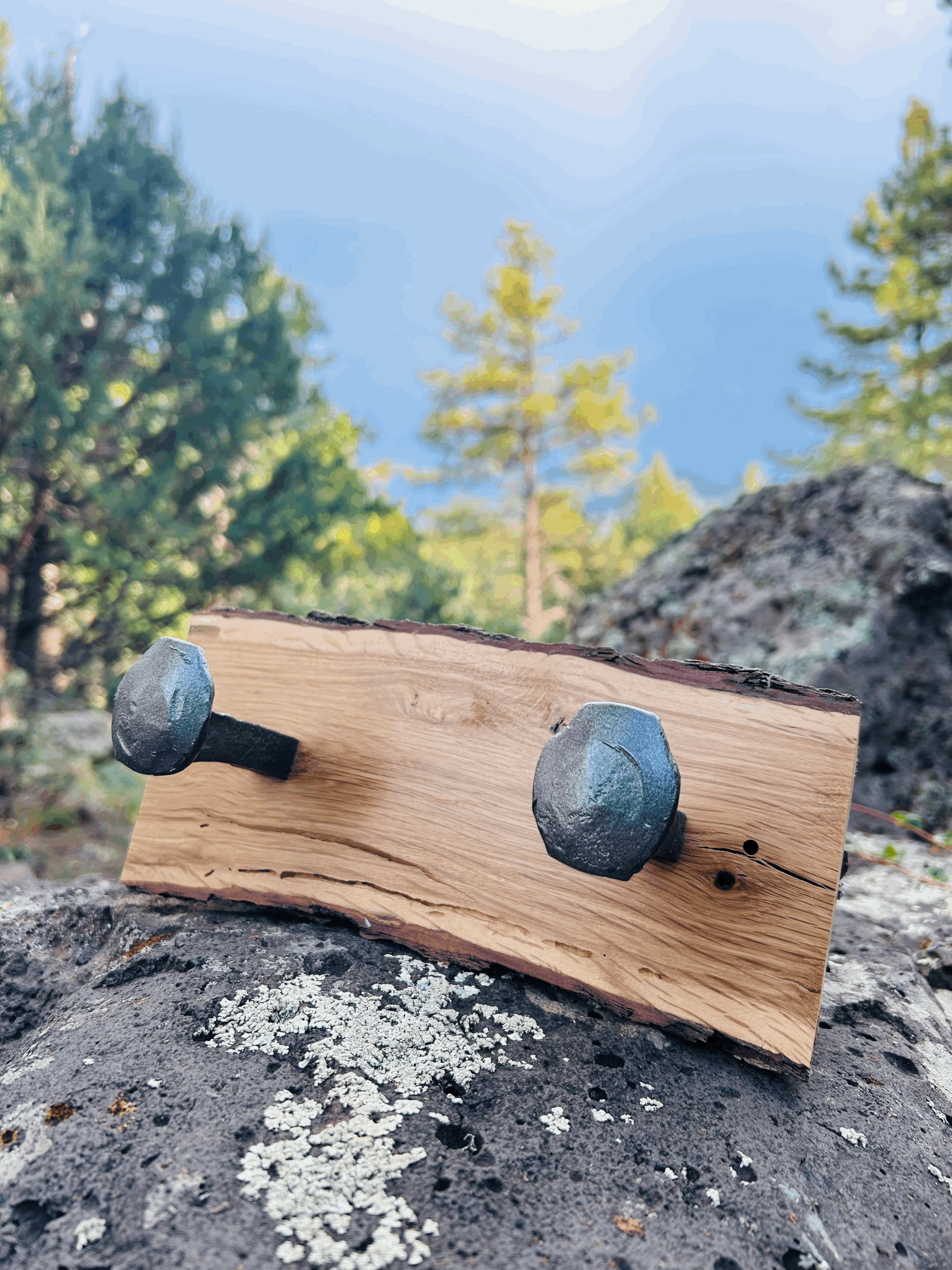 The Trailhead Rail Spike Coat Hook