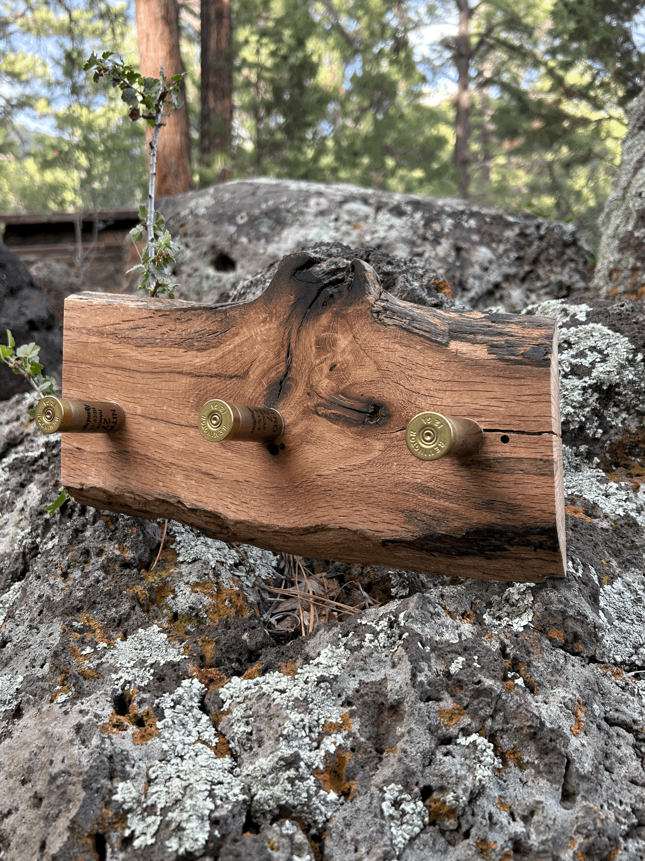 Last Round Coat Hook