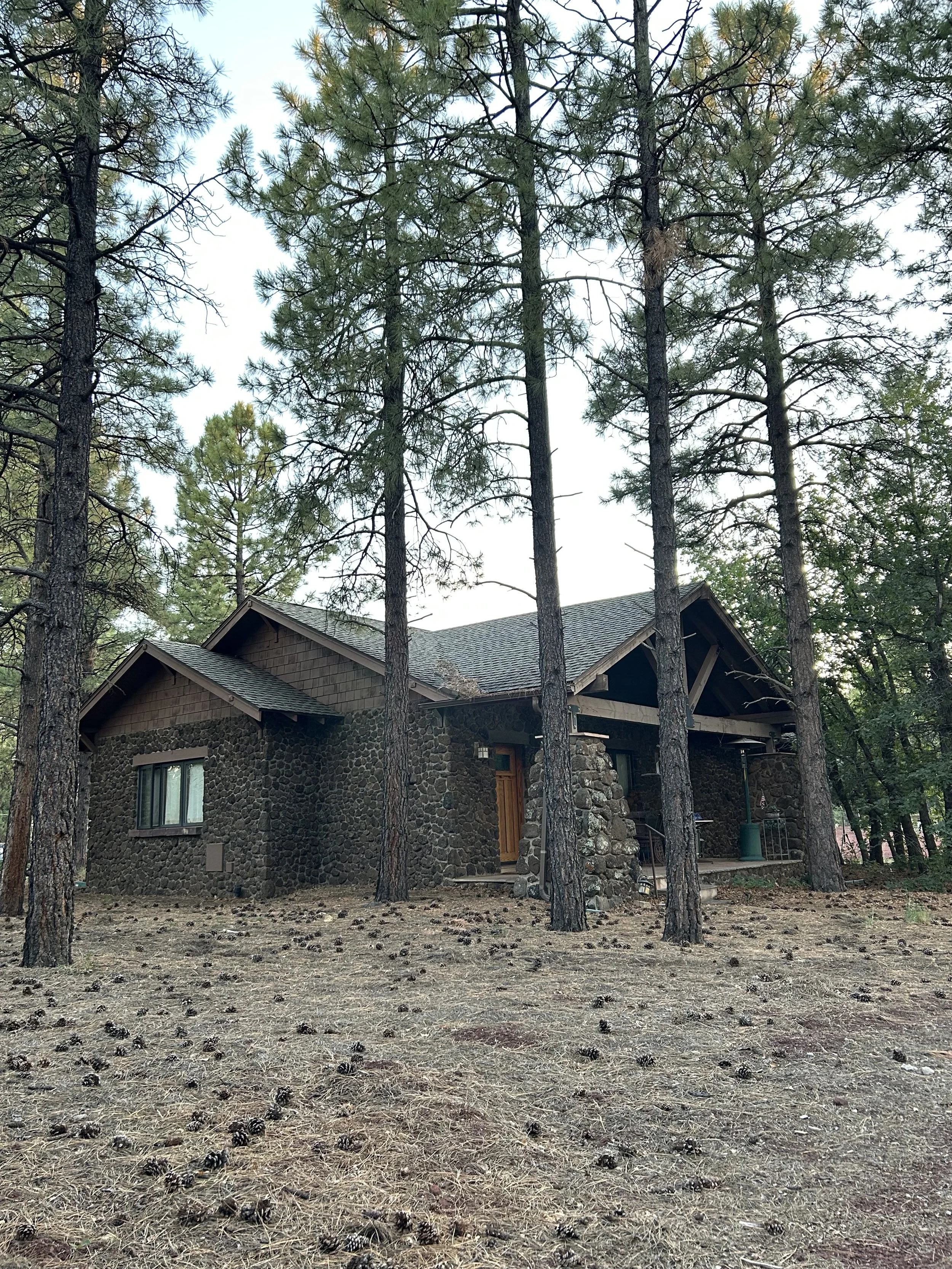 Rustic stone craftsman cabin under the ponderosa pines next to gambel oak trees in the mountains of Williams Arizona.