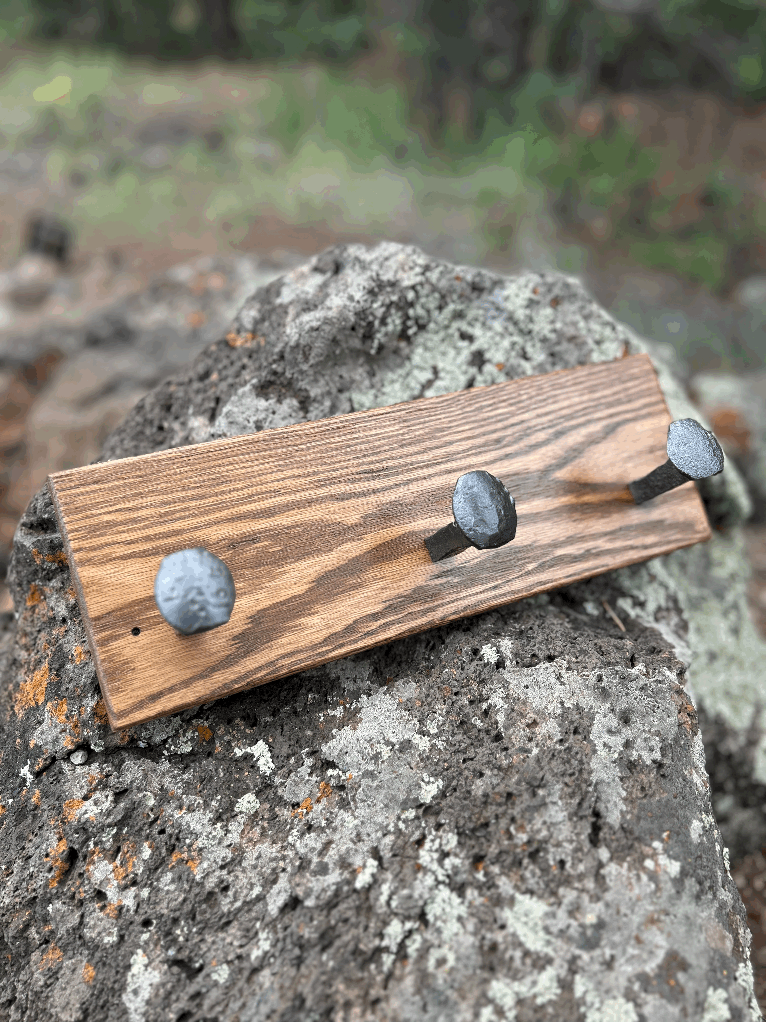 Clean Edge Homestead Coat Hook