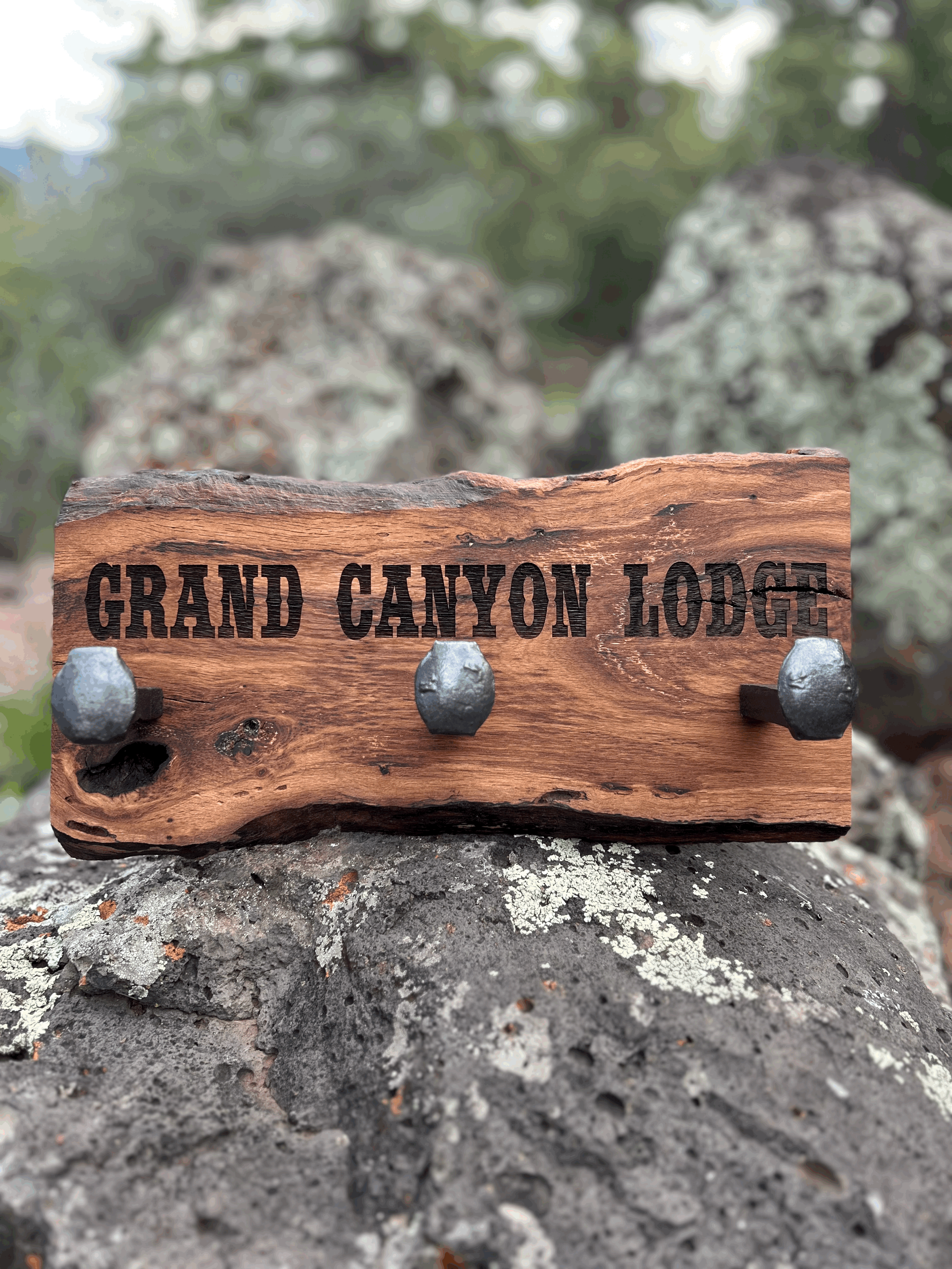 Live Edge Gambel Oak Railroad Spike Coat Hook