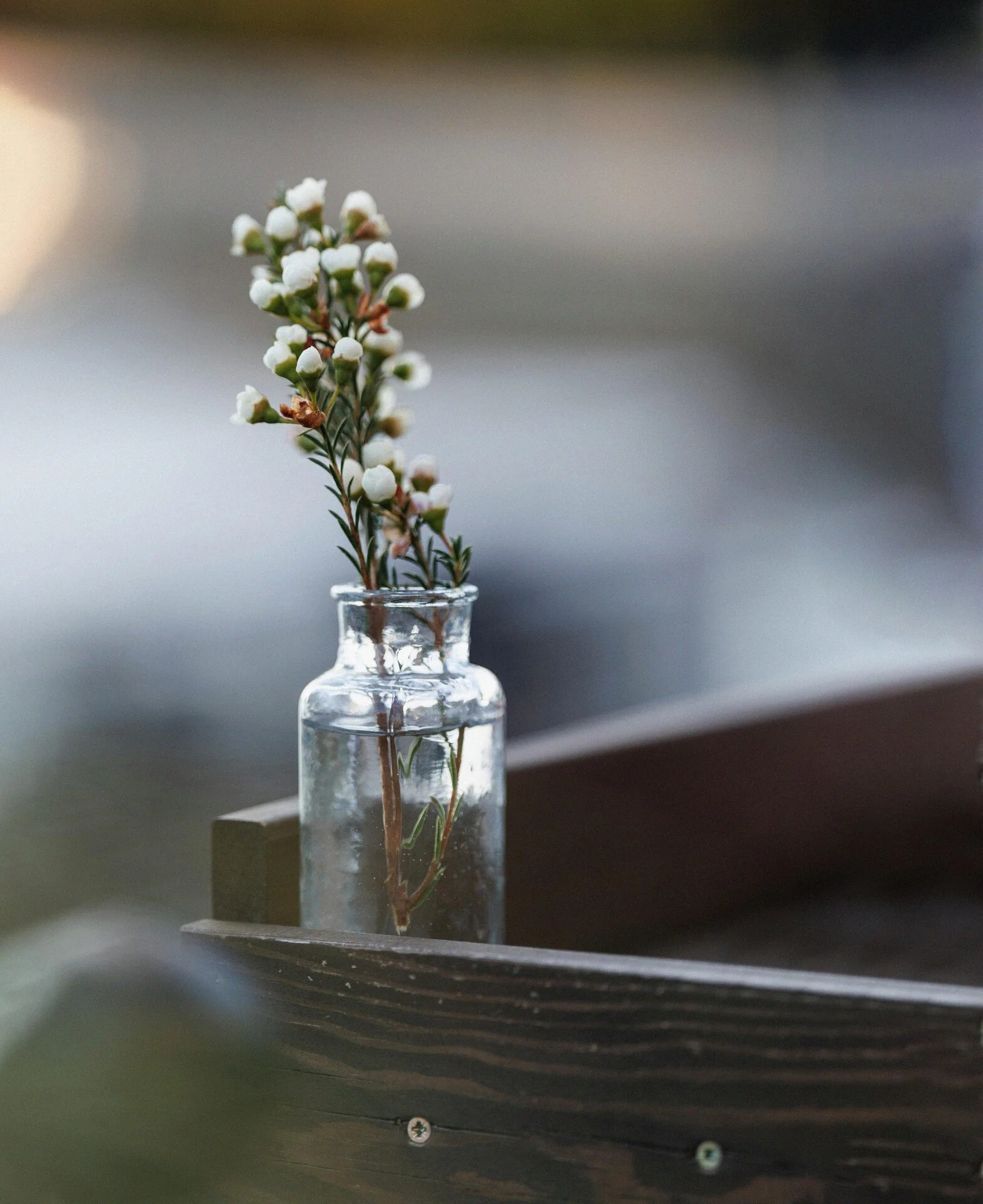 Small white flowers with green stems in a clear glass bottle on a dark wooden surface.