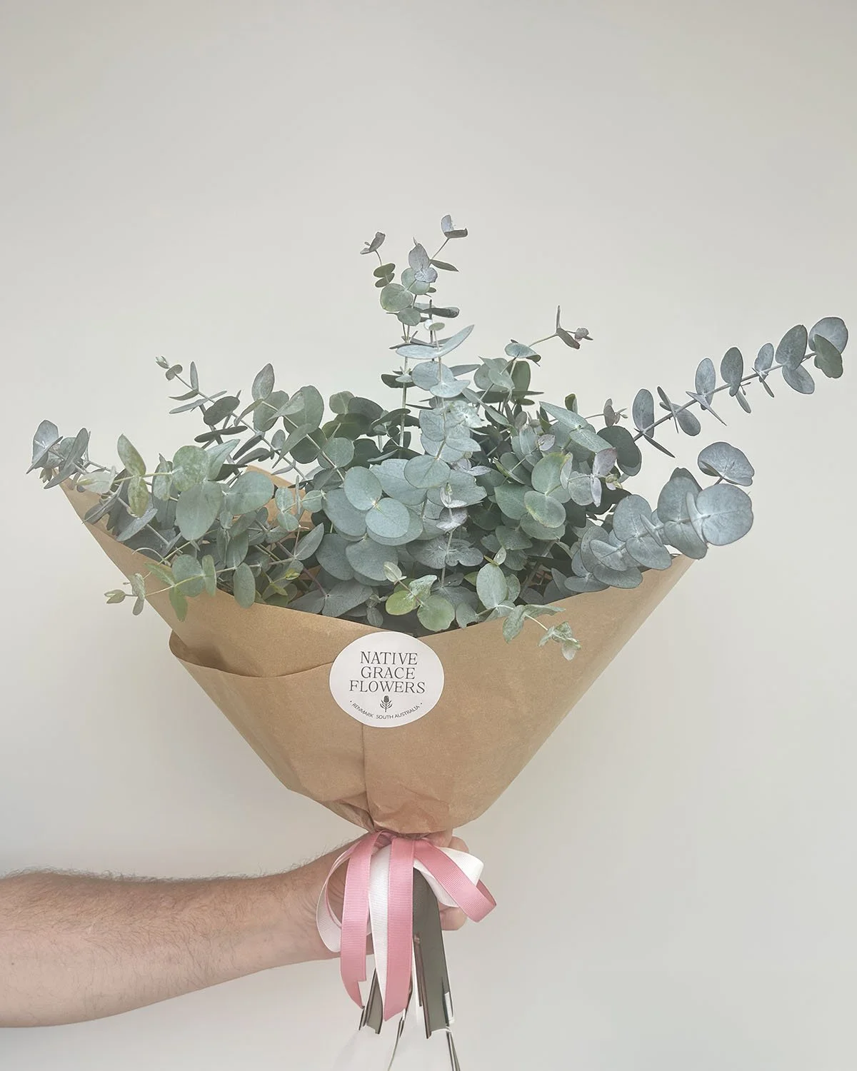 Eucalyptus Foliage — Gum Foliage