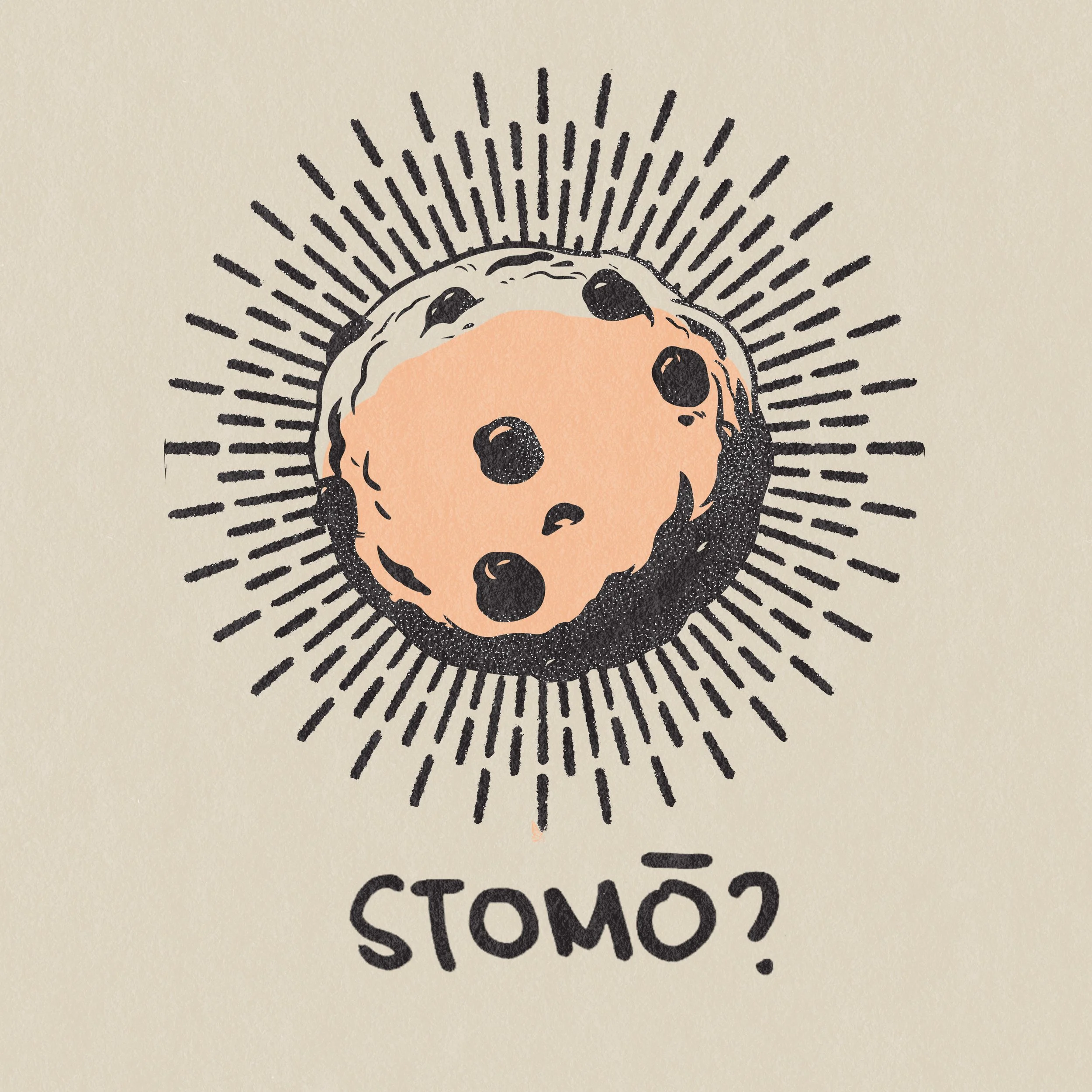 study6.jpg