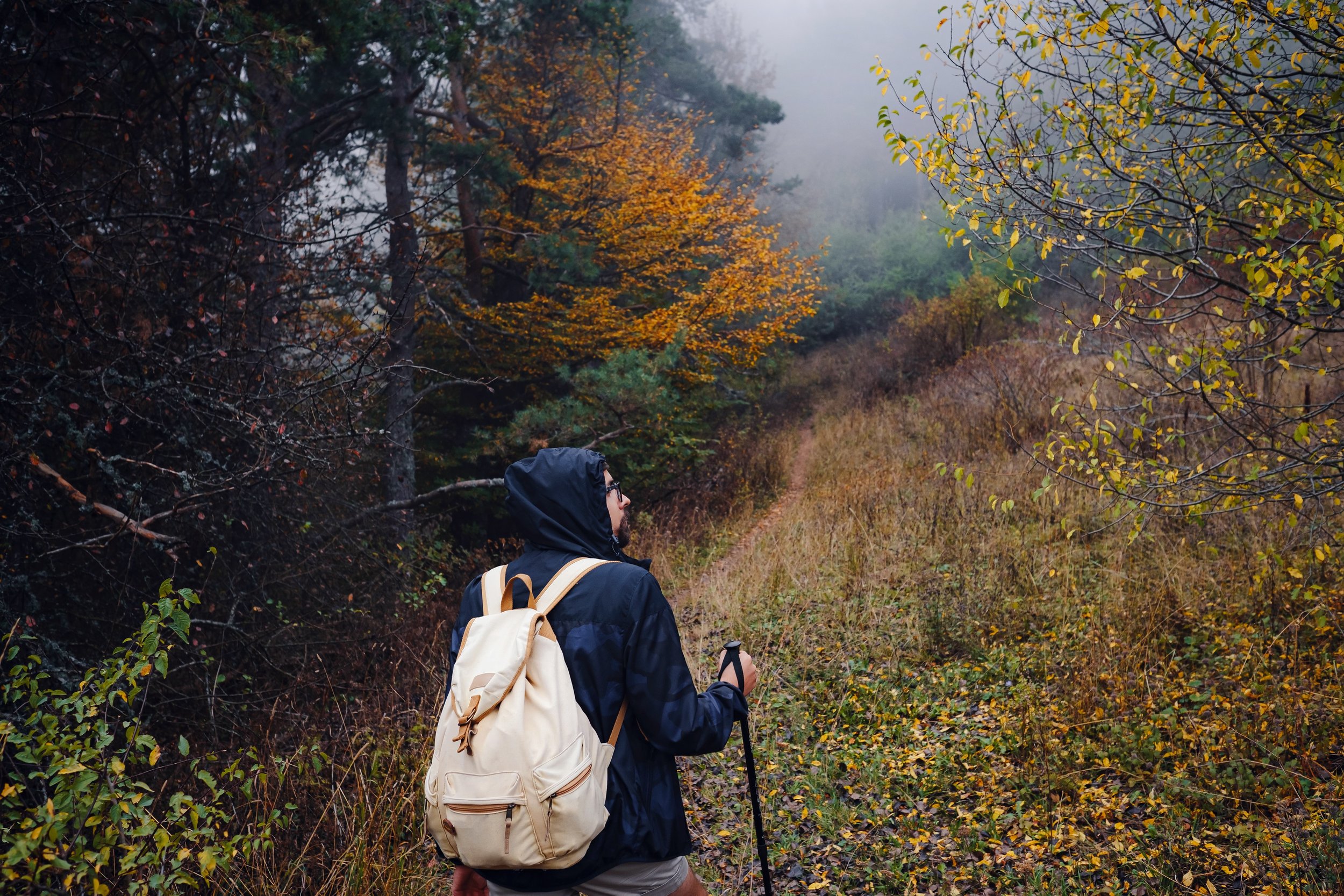 Does EMDR Work Long Term? What Follow-Up Studies Show