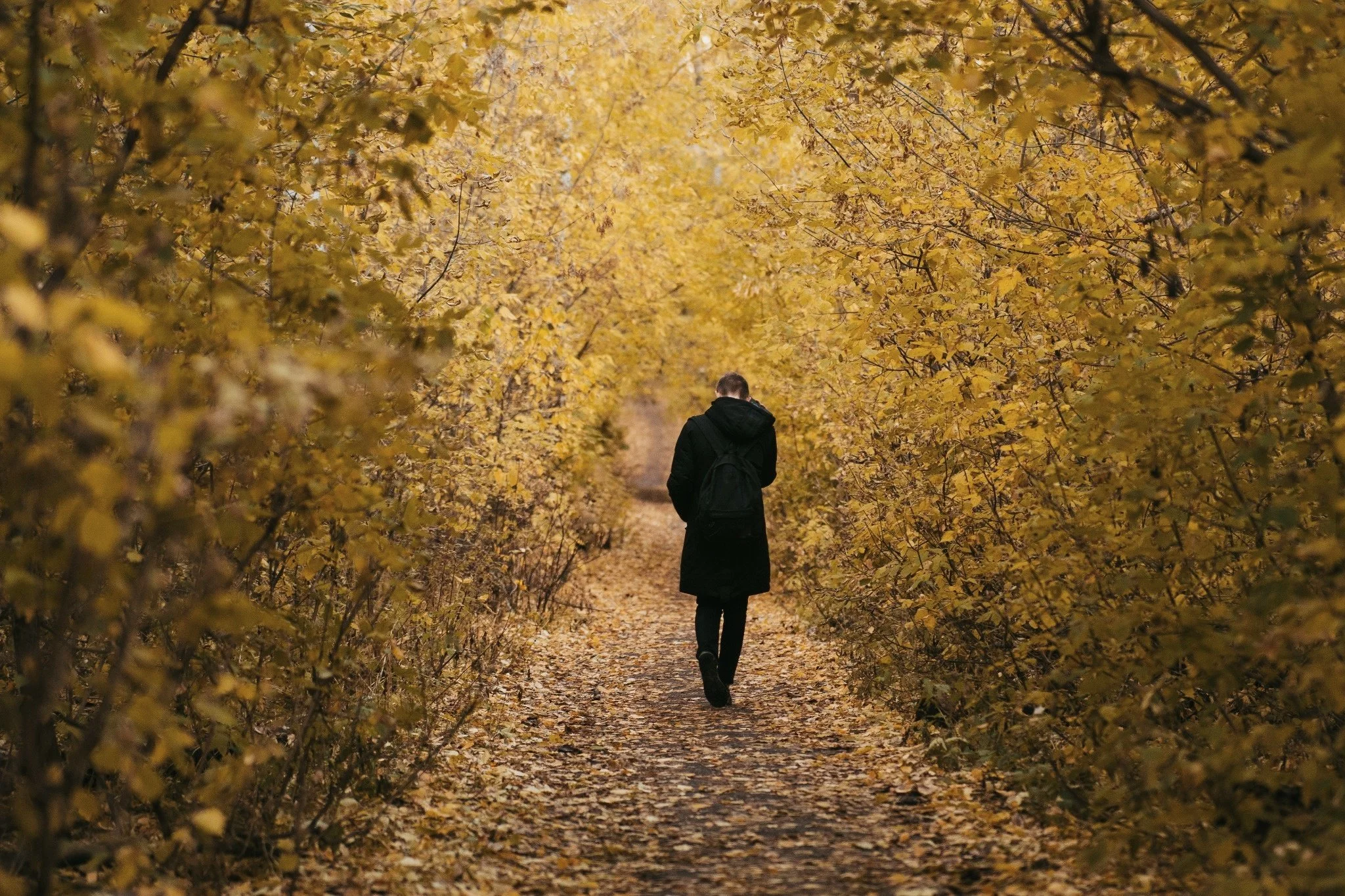 Person walking along a path through an autumn forest