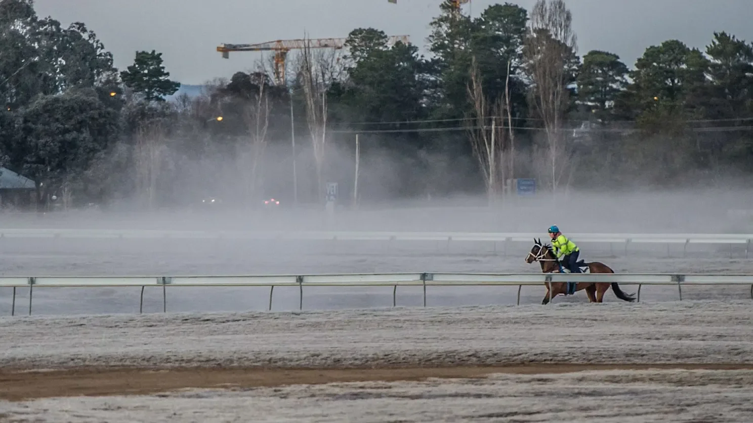 Trainer Paul Facoory gets good oil on Canberra's Thoroughbred Park