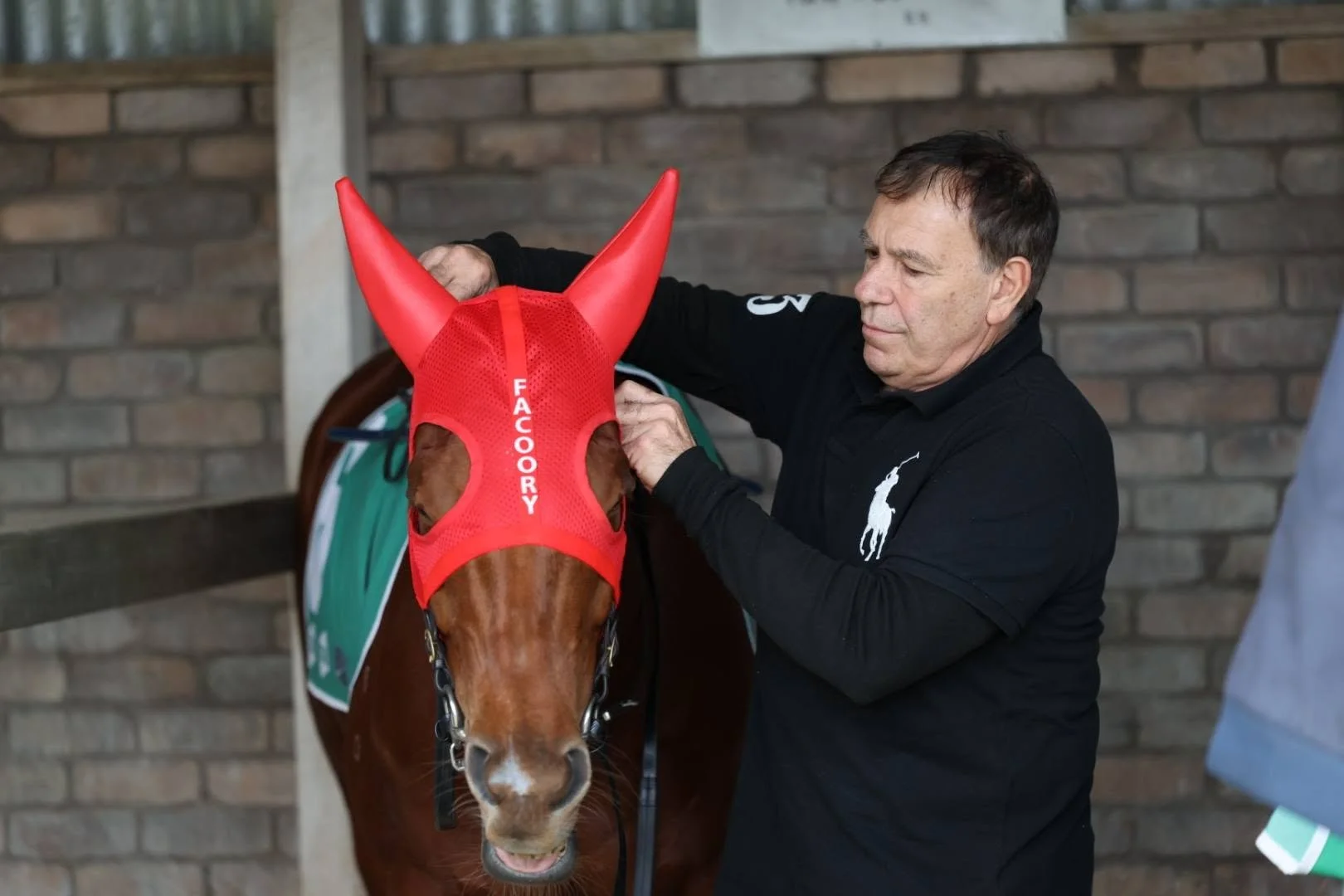 Facoory weighs up home tilt or Randwick Highway for Party It Down