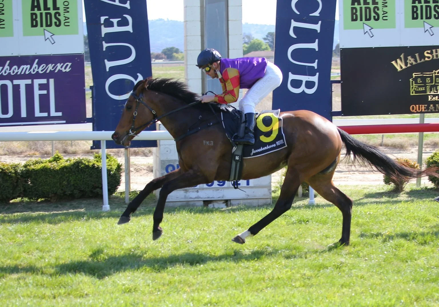 Paul Facoory hopes Surprise Factor can keep surprising at Queanbeyan