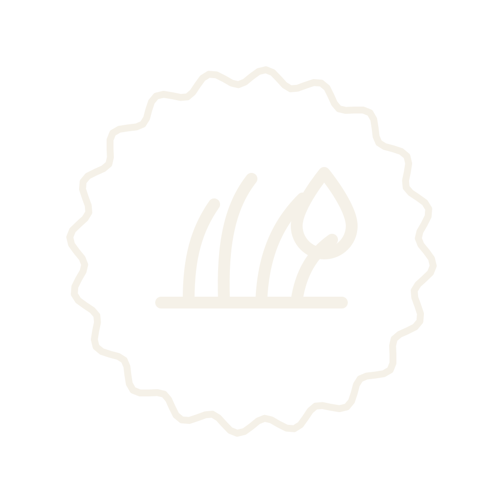 A black and white icon of a matchstick being ignited with a flame, enclosed in a wavy circular border.