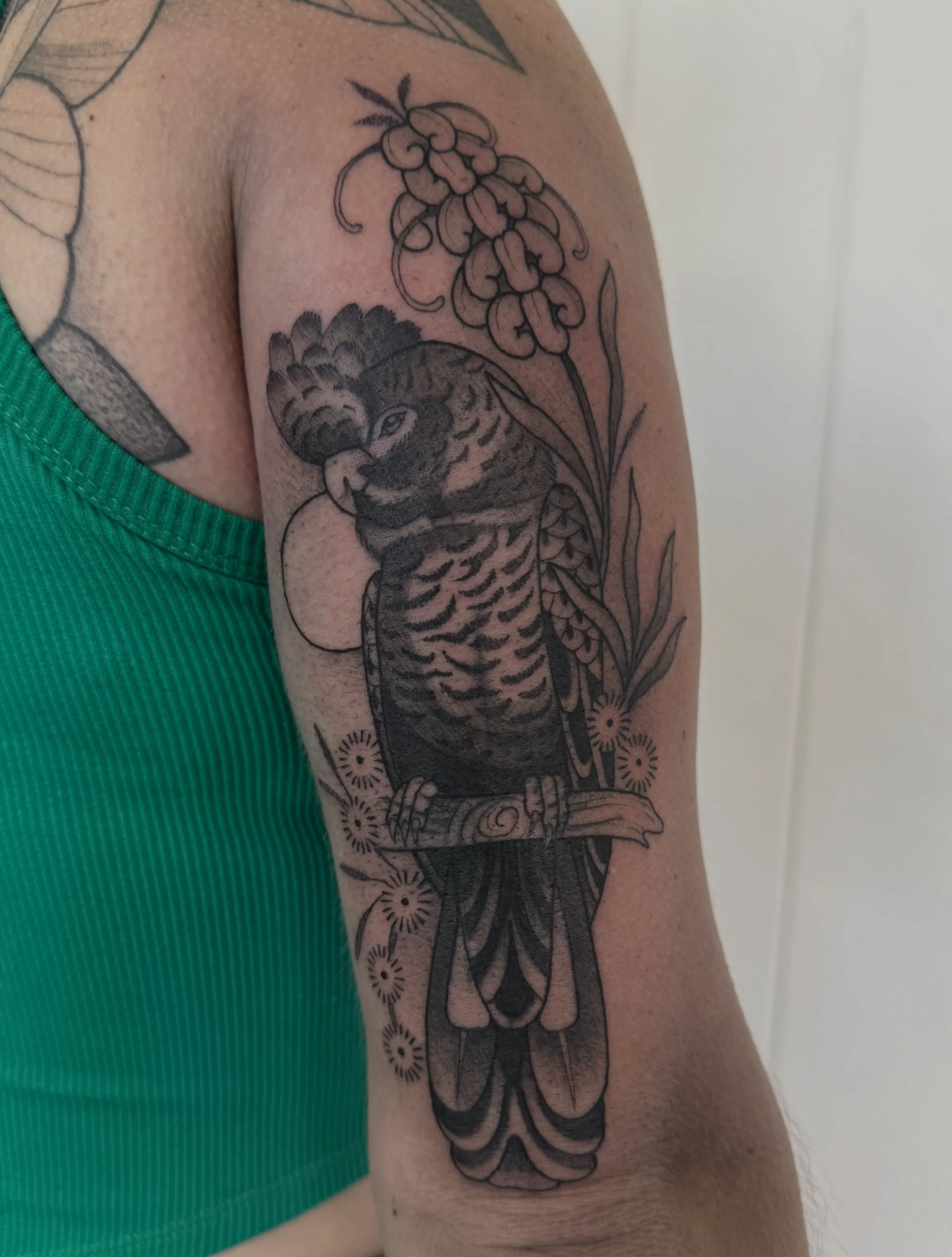 Black cockatoo coverup for Beck! Swipe to see the piece we covered ➡️
It&rsquo;s not every day I get to tattoo a fellow country gal 🤠 
I love our sessions together, thanks darling one!