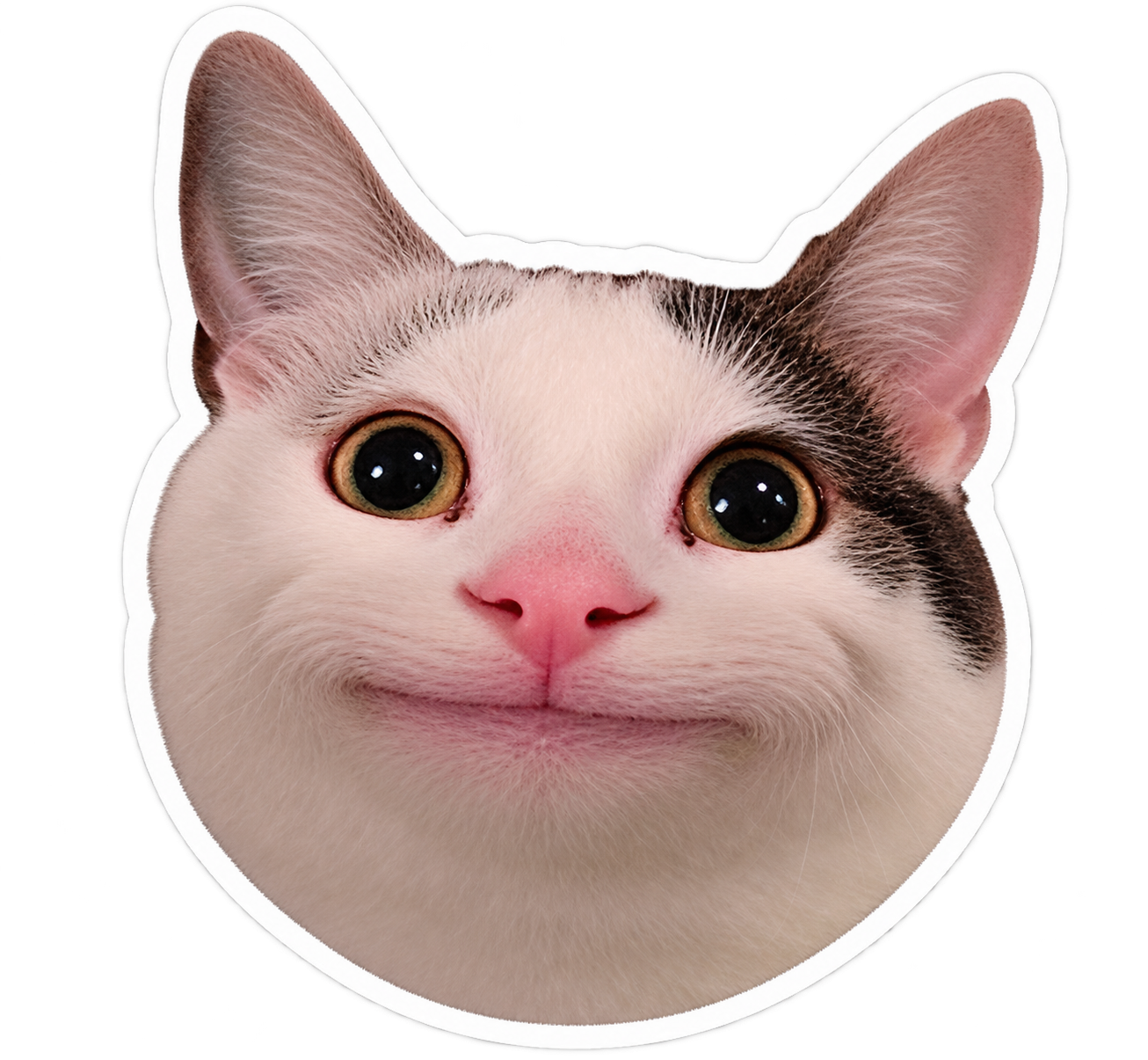 A cat's face with a human-like smile, pink nose, and large eyes, with black and white fur.