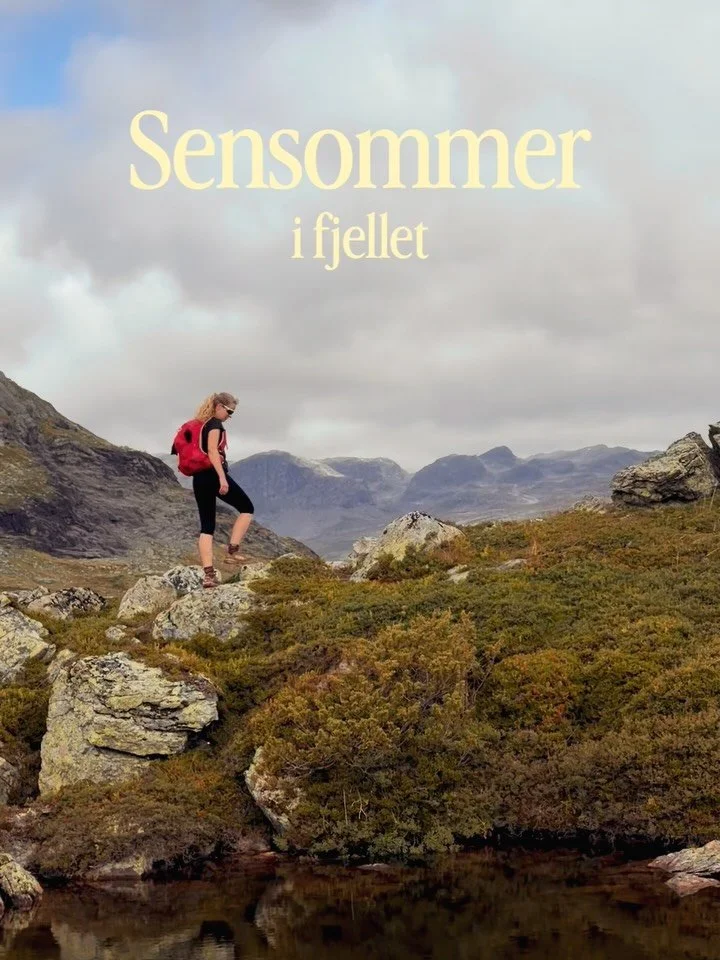 De f&oslash;rste hintene av h&oslash;st 🍂