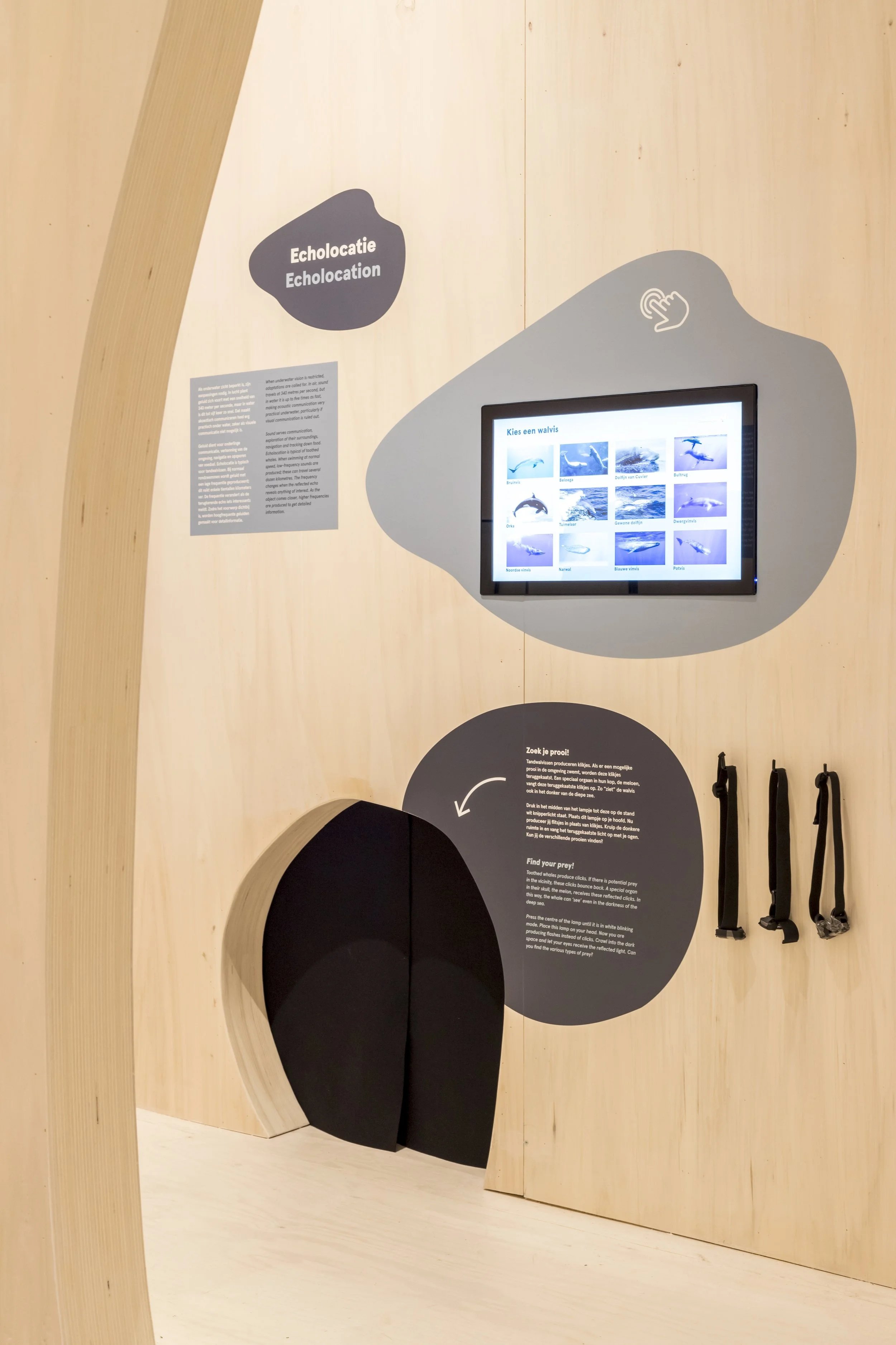 Whale: Locality Maastricht