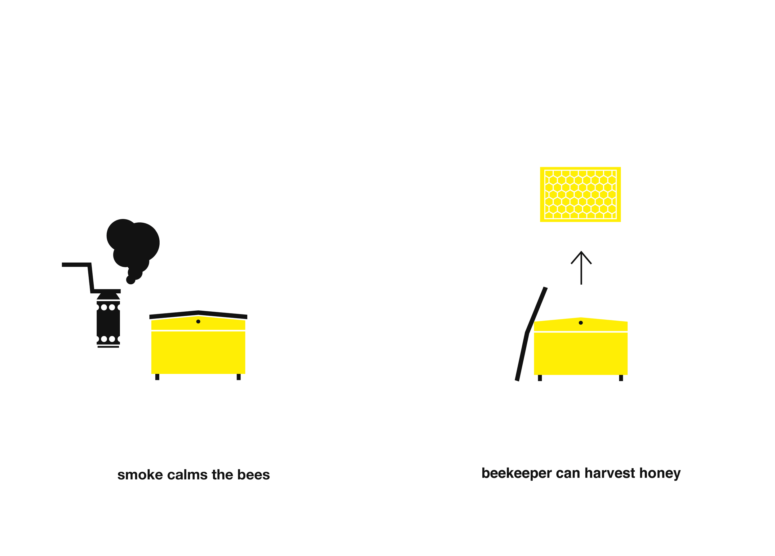 Bee Booklet