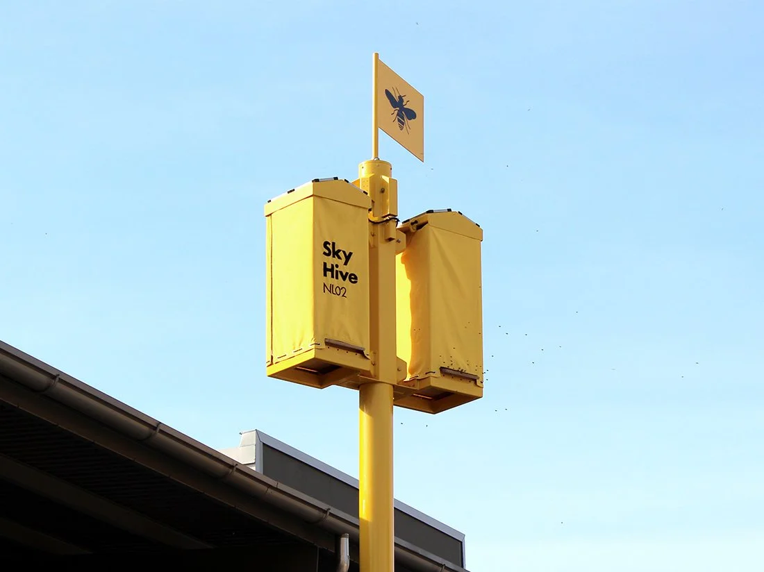 Sky Hive