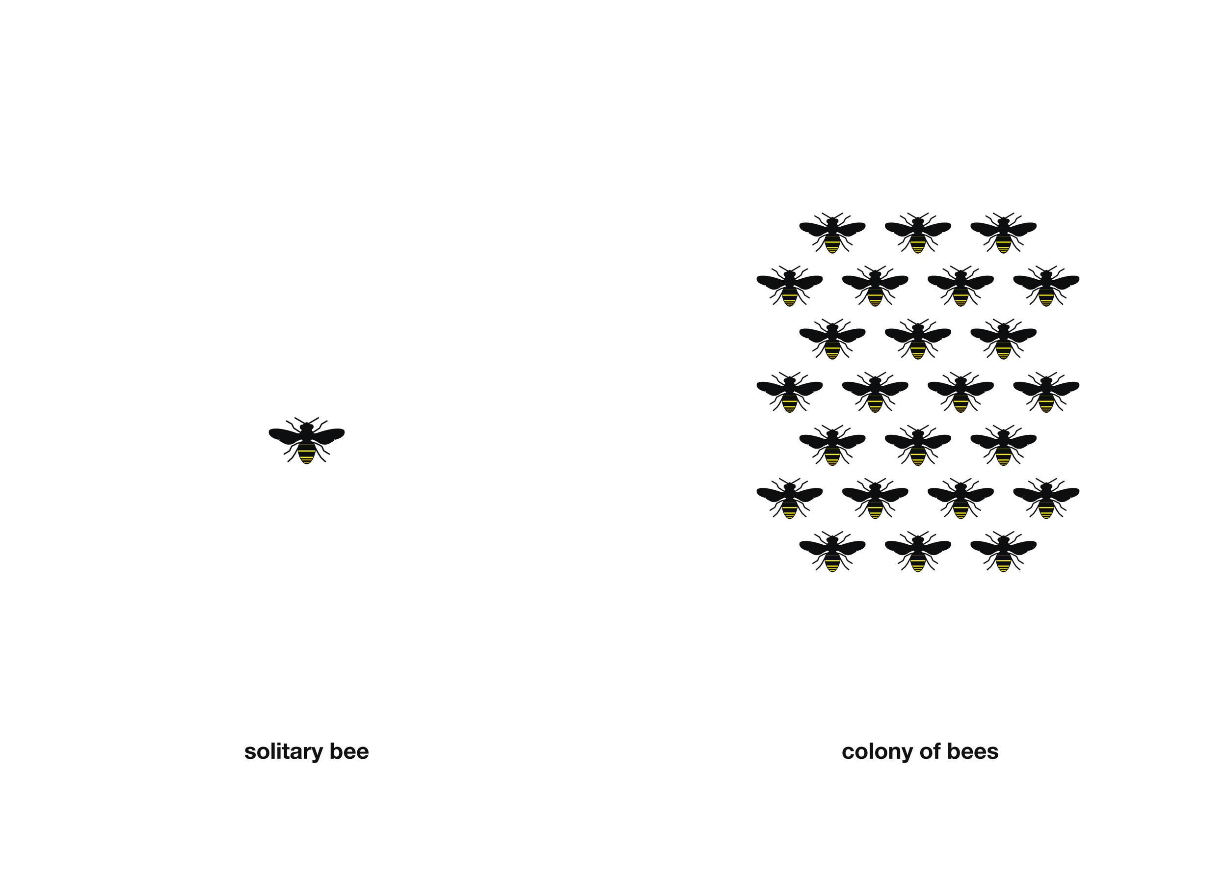 Bee Booklet