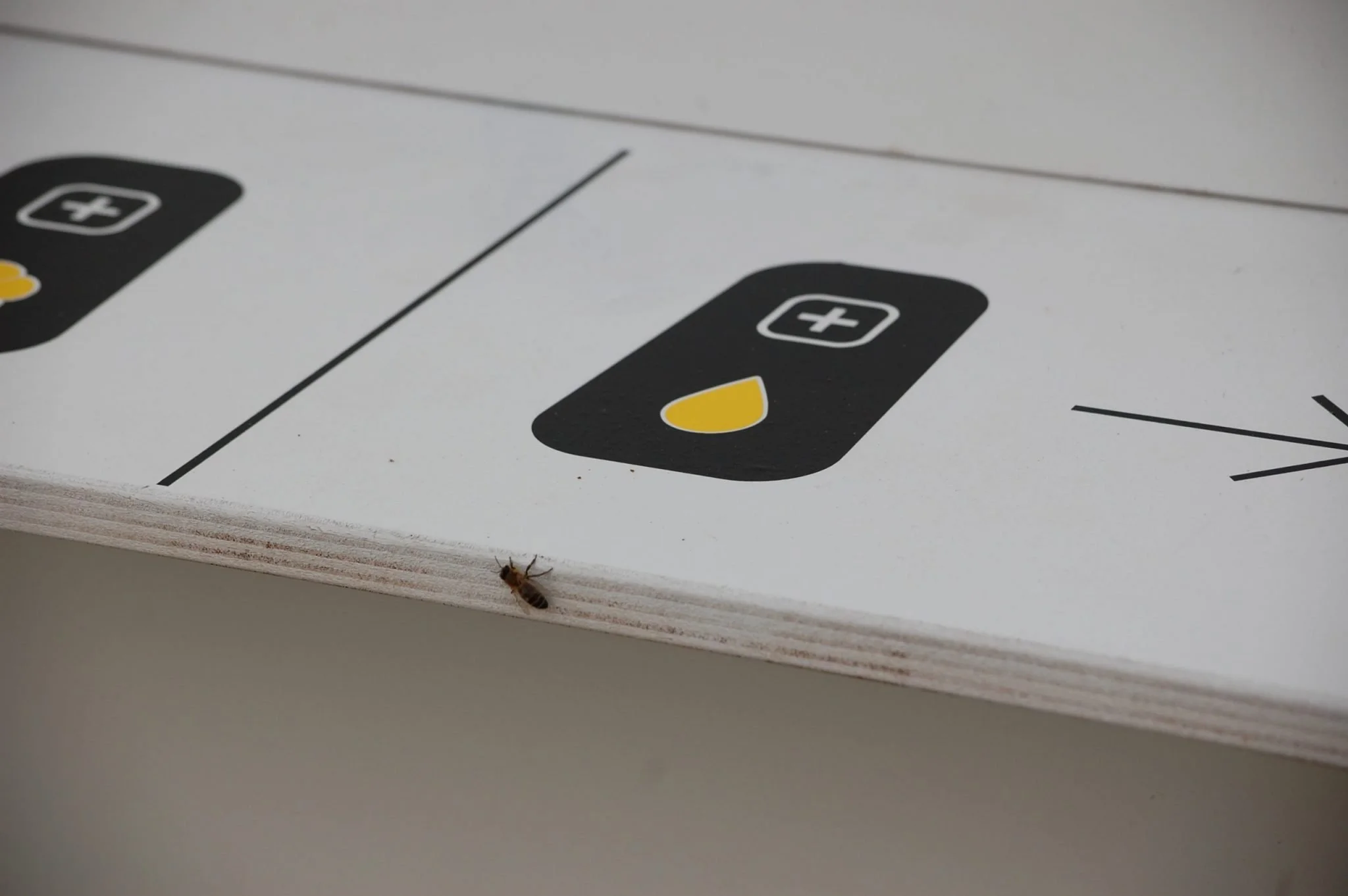 Be a Bee pavillion