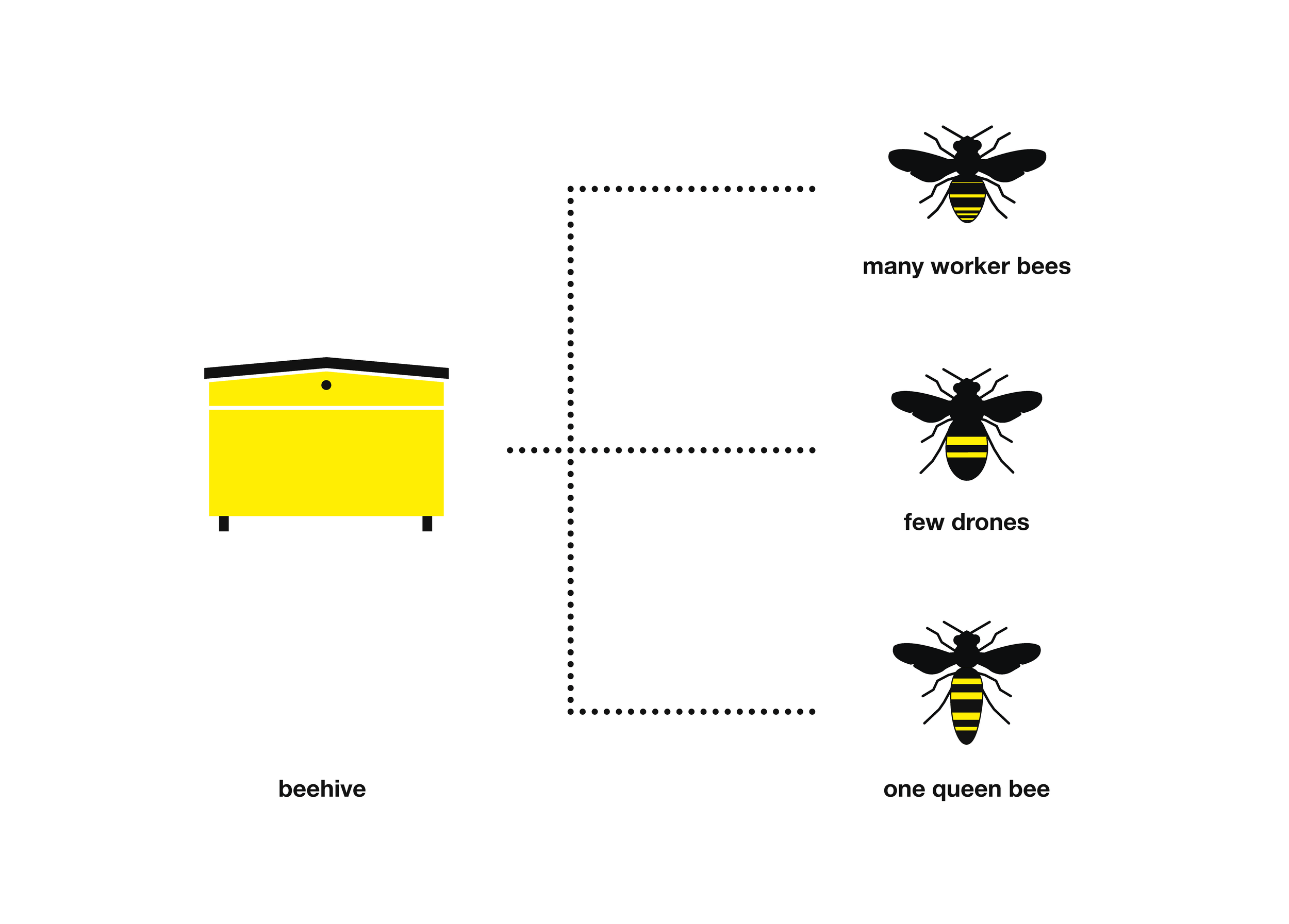 Bee Booklet