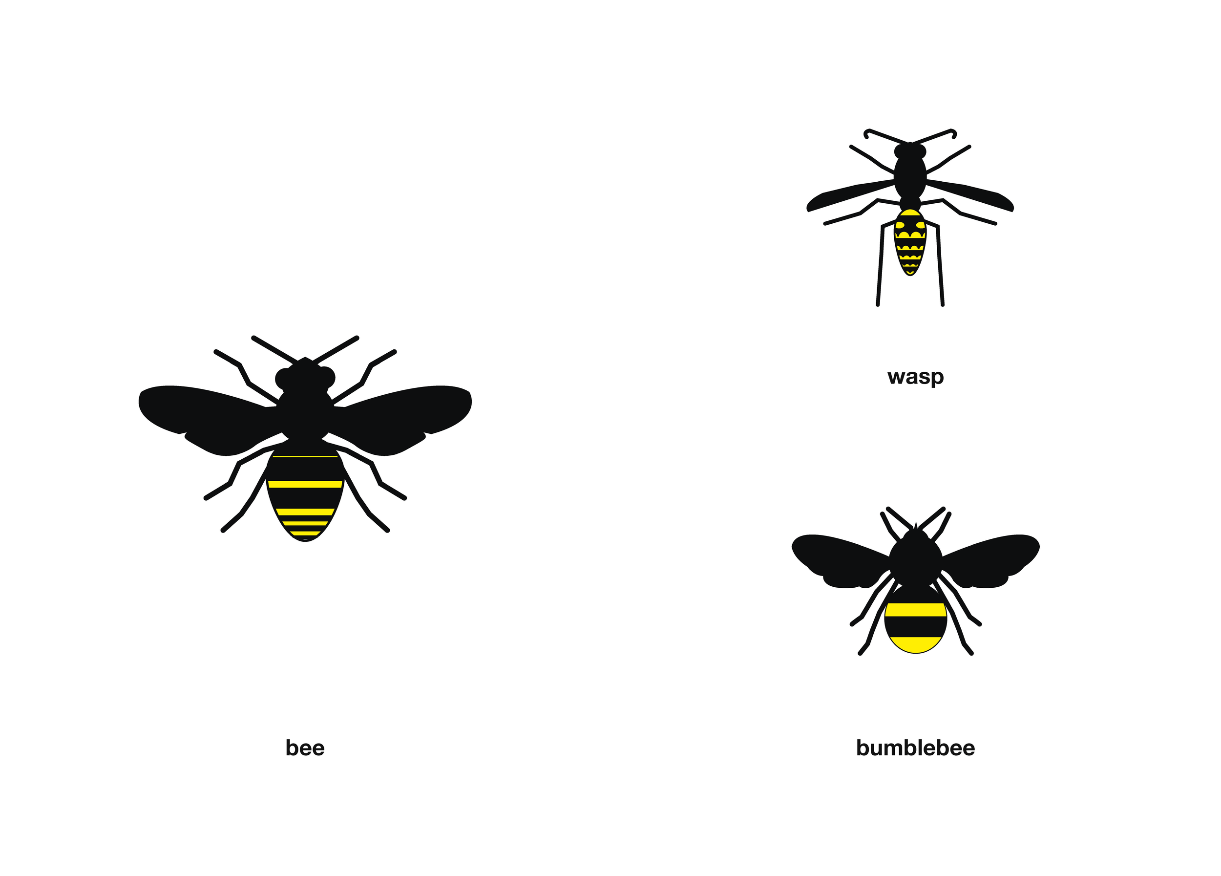 Bee Booklet