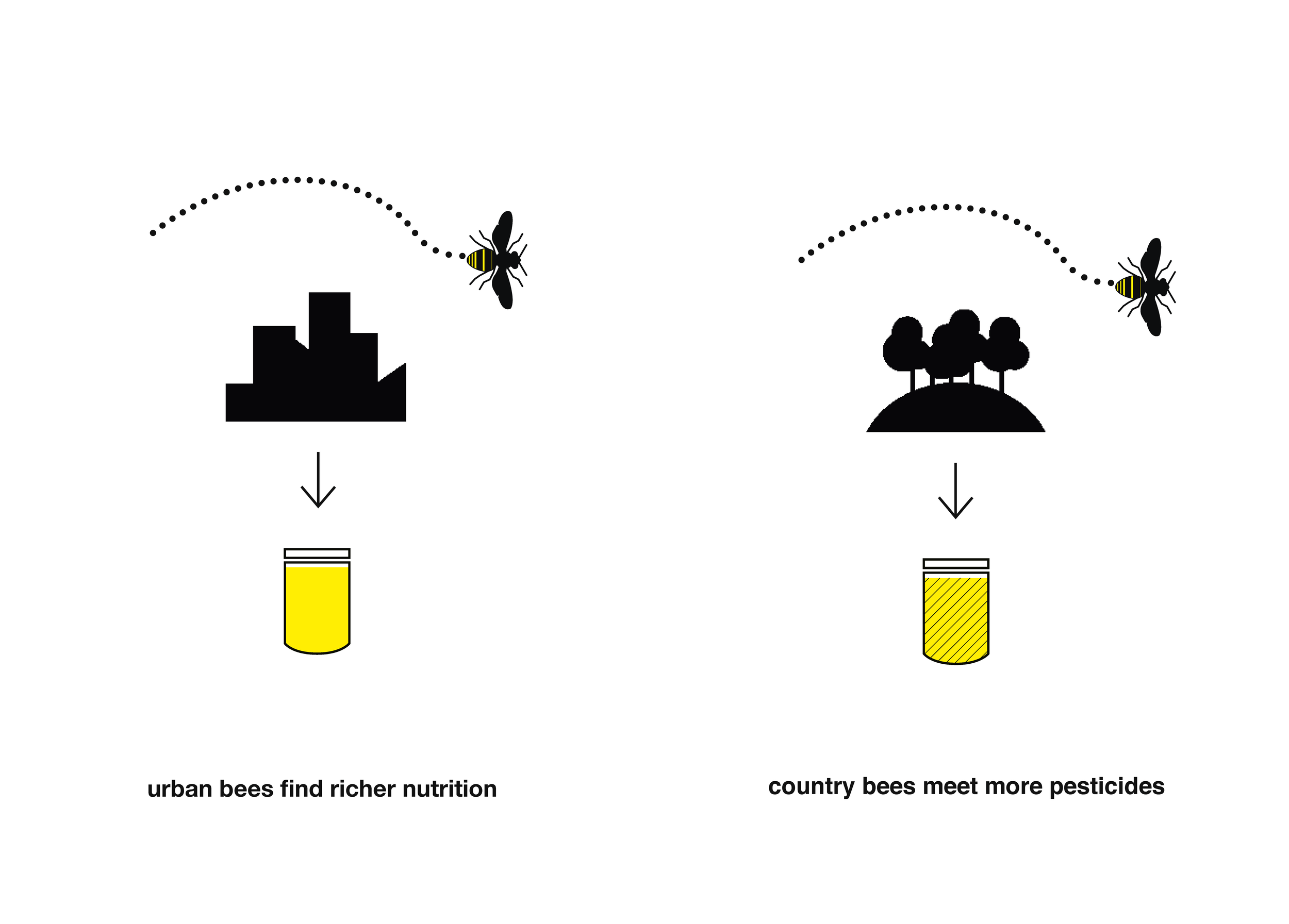 Bee Booklet
