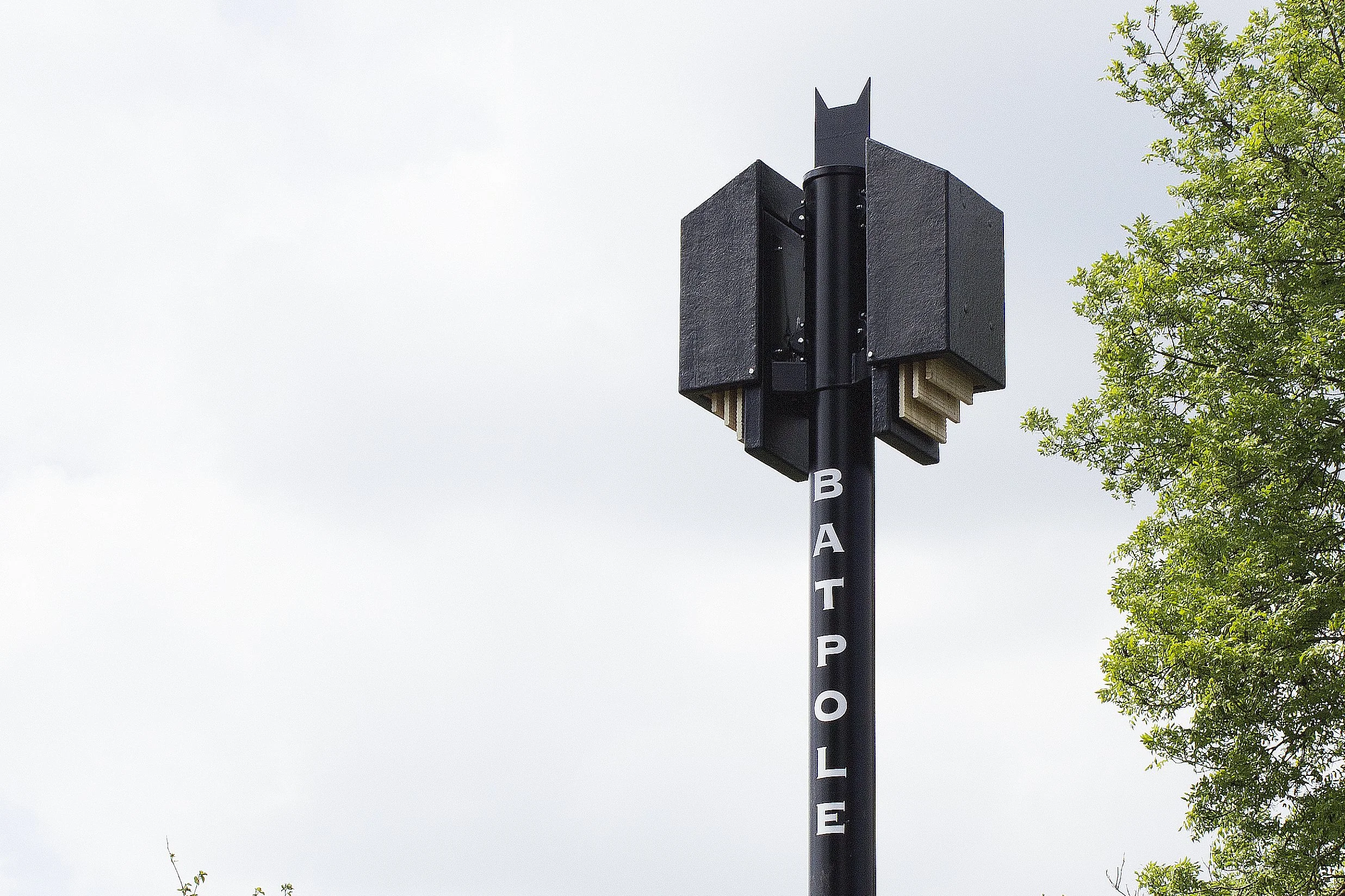 Batpole