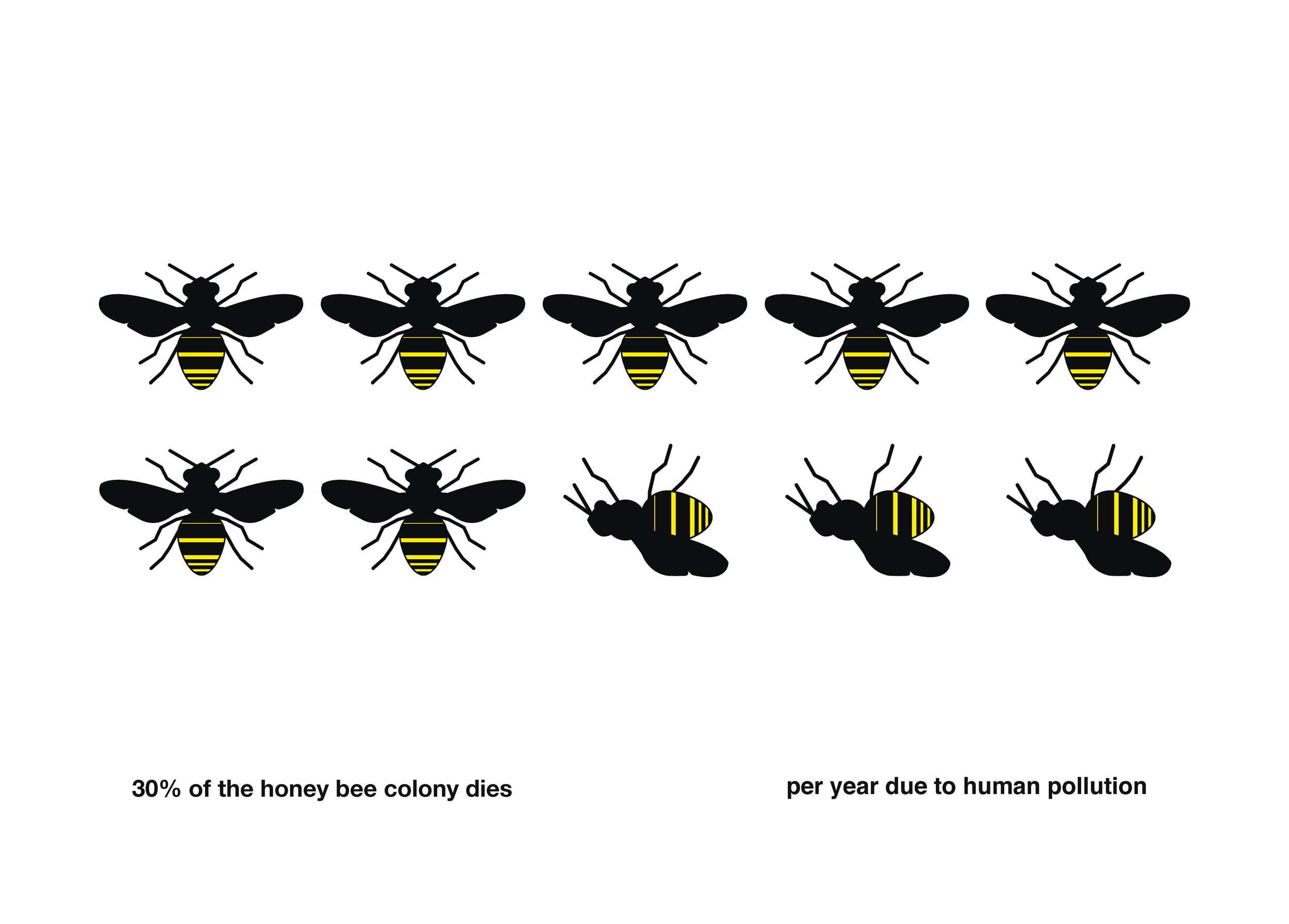 Bee Booklet