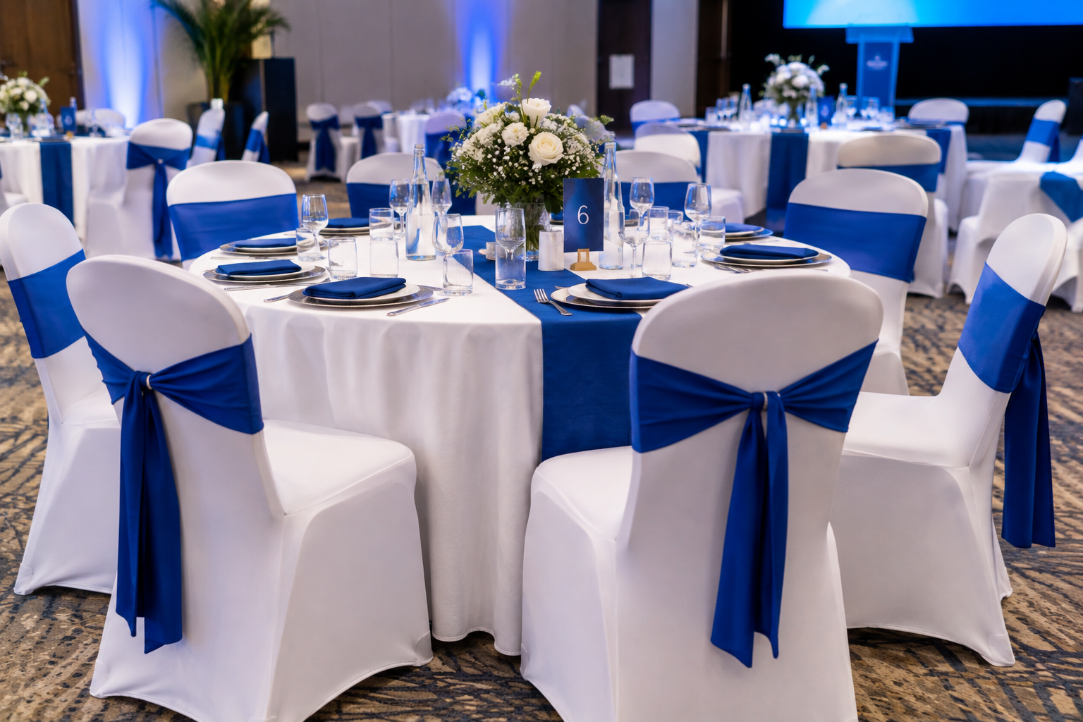 table set up.png
