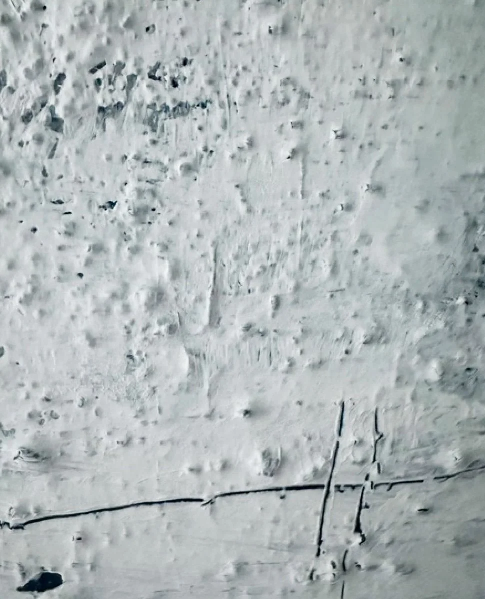 Raw White - detail 2 | Léonce Lemmens.jpg
