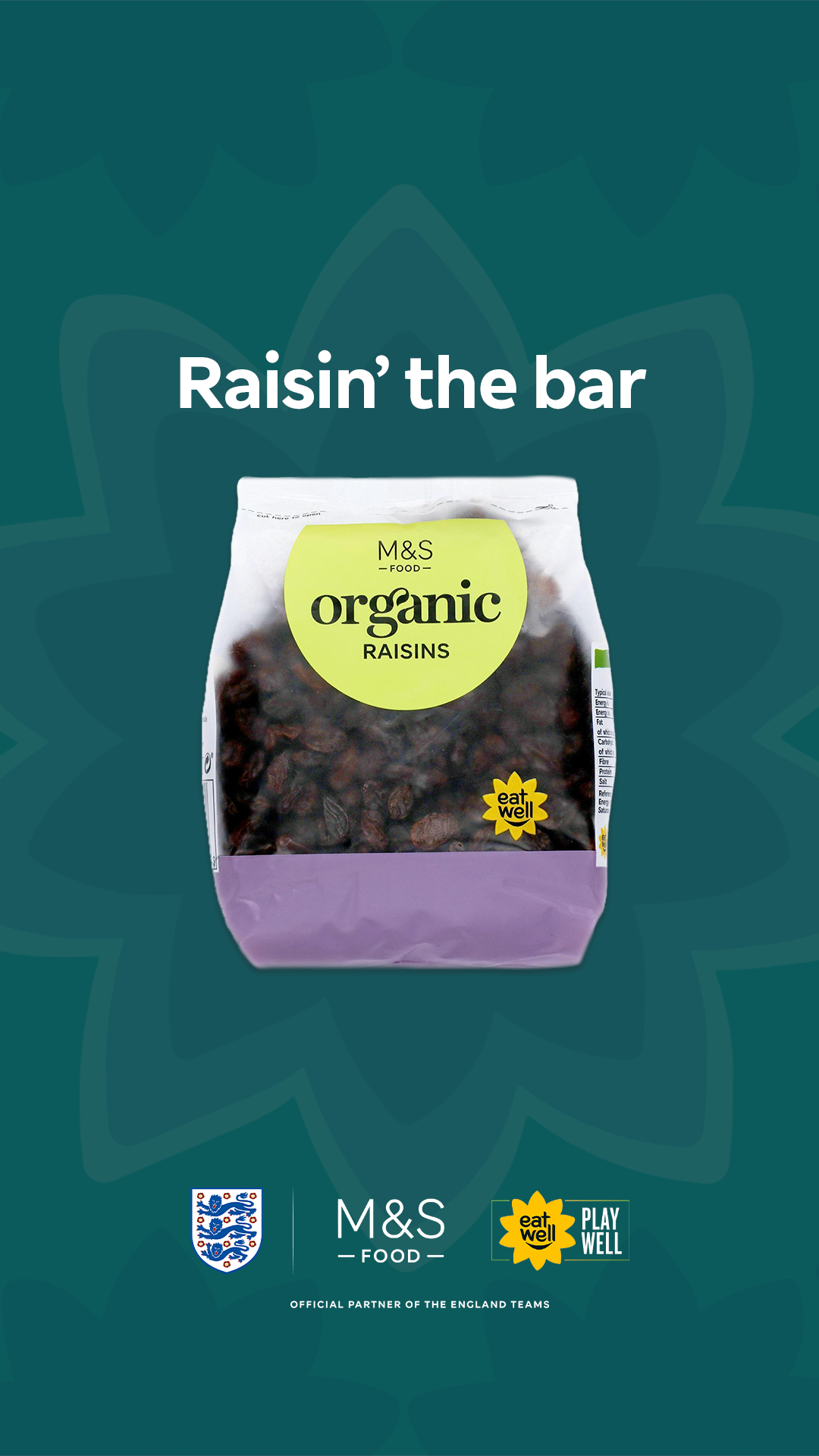 Raisins 916.png
