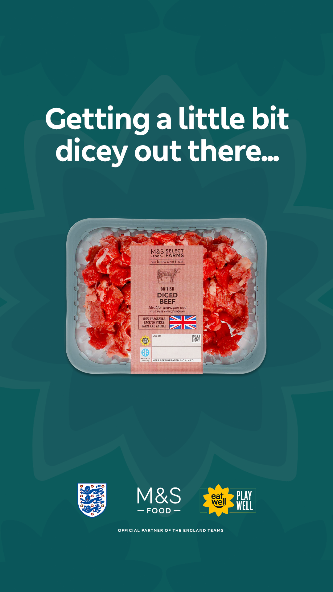 Diced Beef 916.png